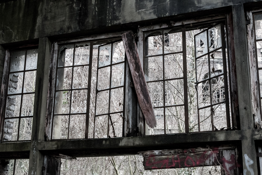 Canon EOS 7D Mark II + Canon EF 24-70mm F2.8L USM sample photo. The beauty of decay photography