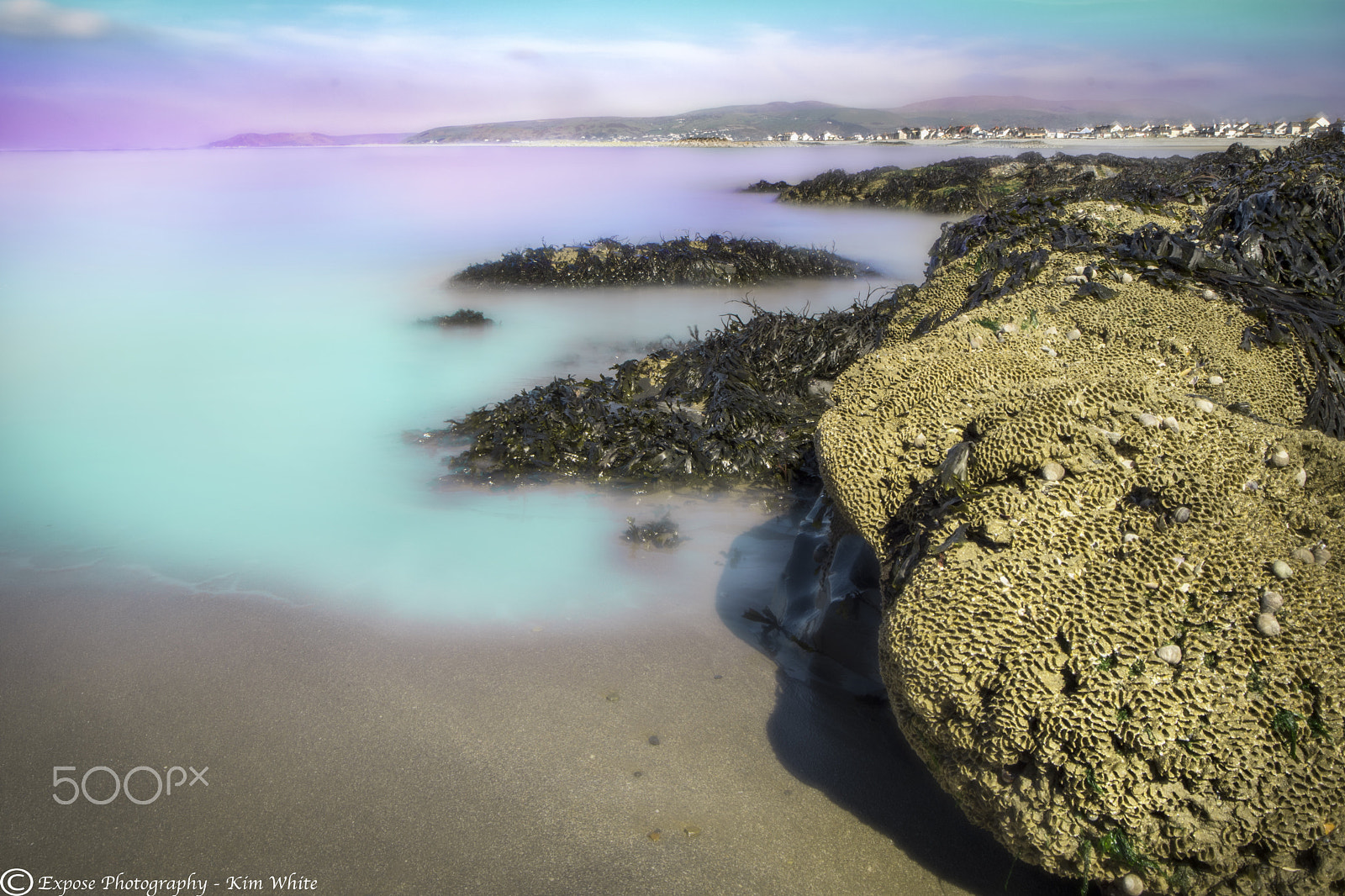 Nikon D500 sample photo. Life in those rocks photography