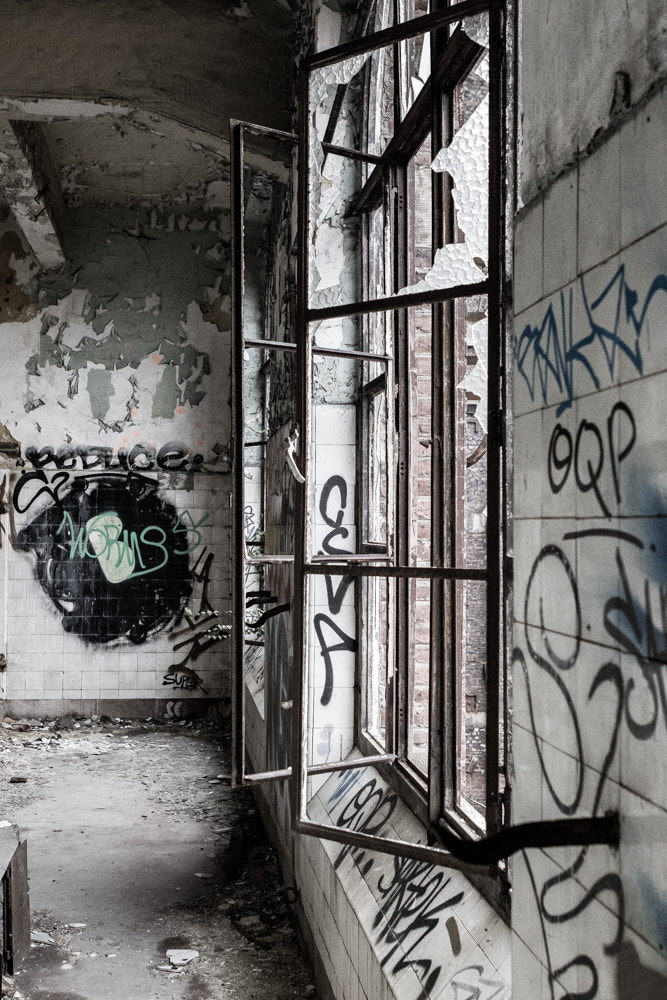 Canon EF 24-70mm F2.8L USM sample photo. The beauty of decay photography