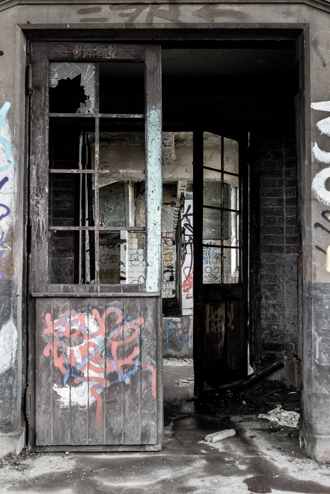 Canon EF 24-70mm F2.8L USM sample photo. The beauty of decay photography