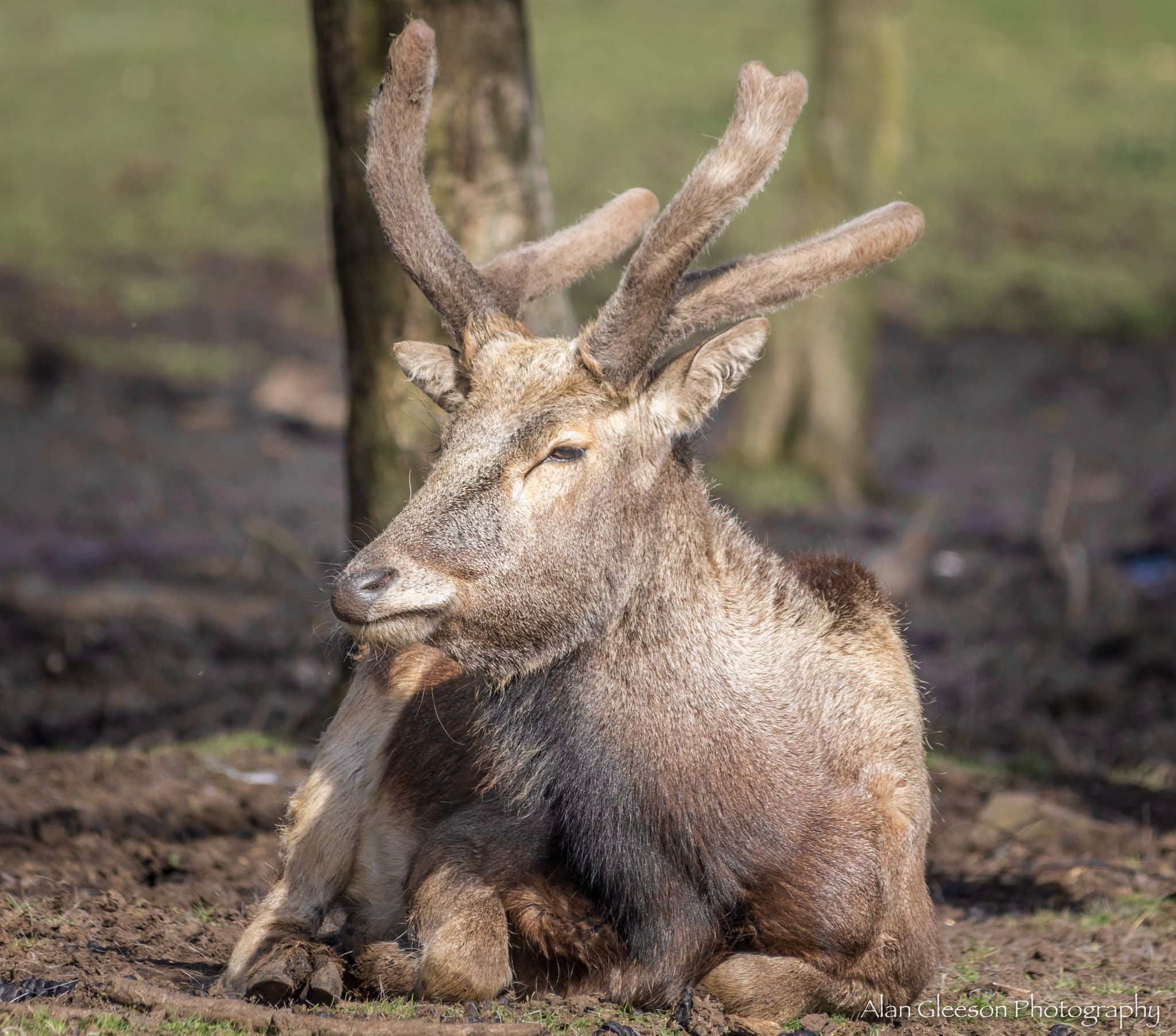 Canon EOS 7D Mark II + Sigma 150-500mm F5-6.3 DG OS HSM sample photo. Who you looking at? photography