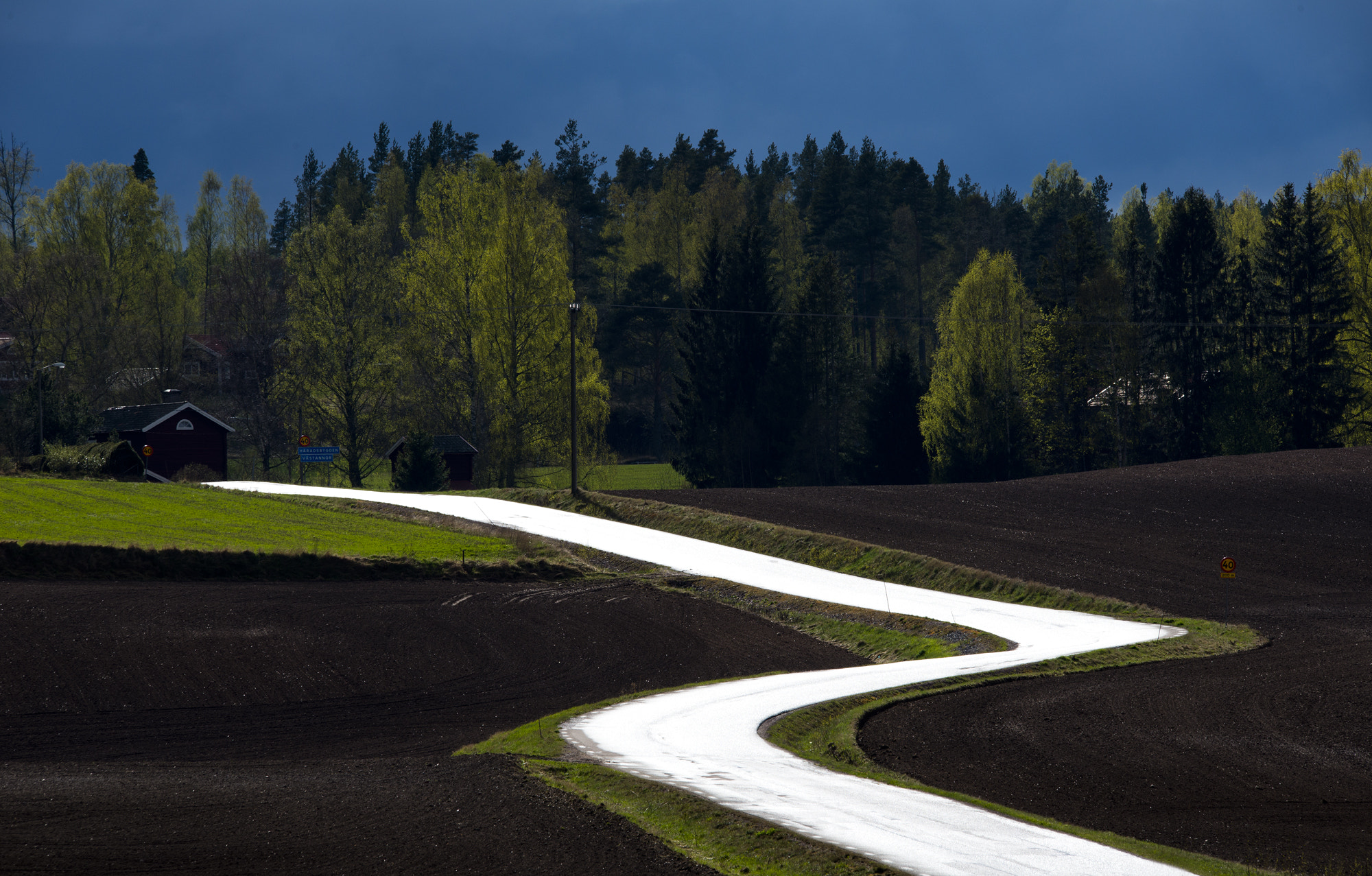 Nikon D600 sample photo. Winding wet road photography