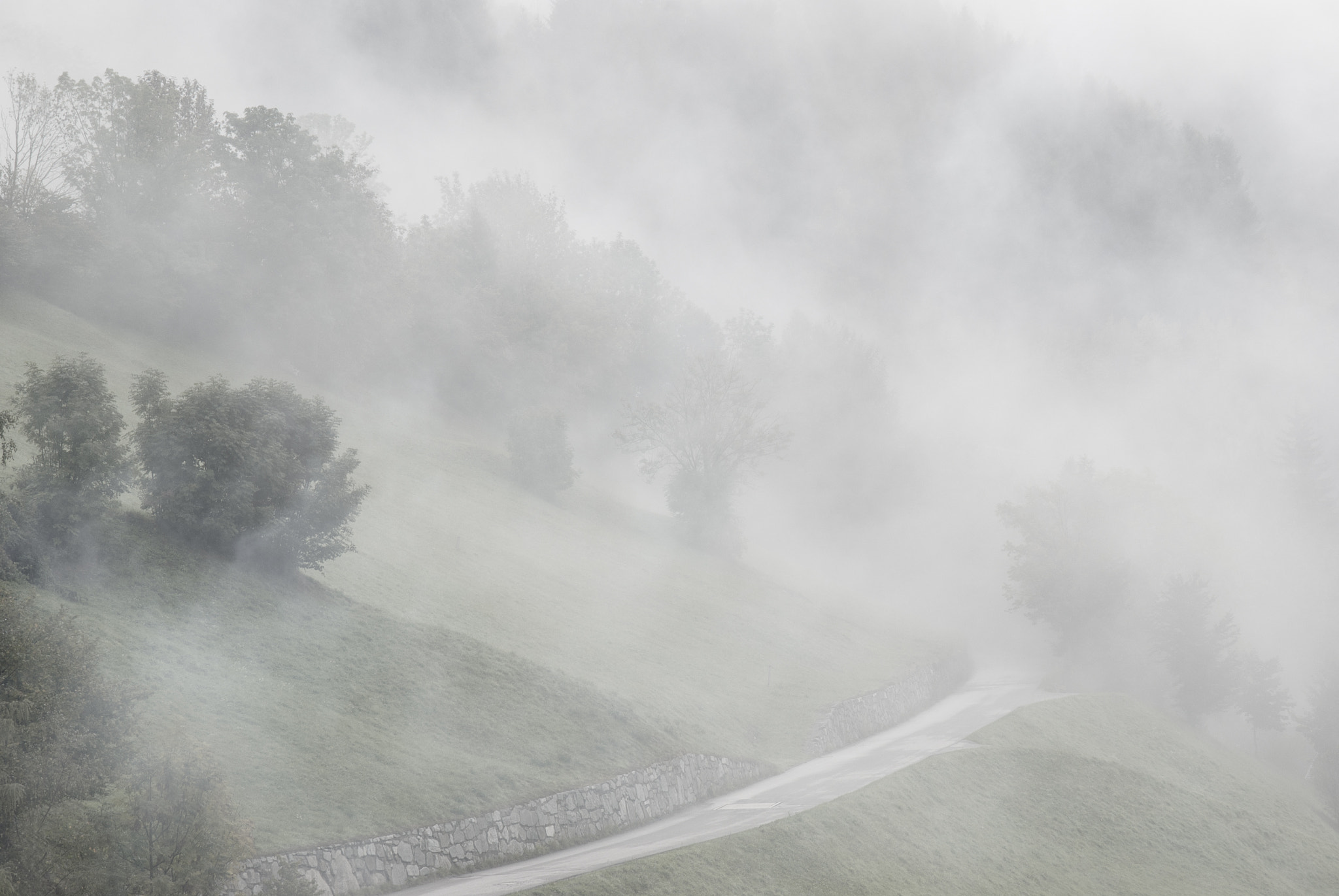 Nikon AF Nikkor 24-85mm F2.8-4D IF sample photo. Misty road photography