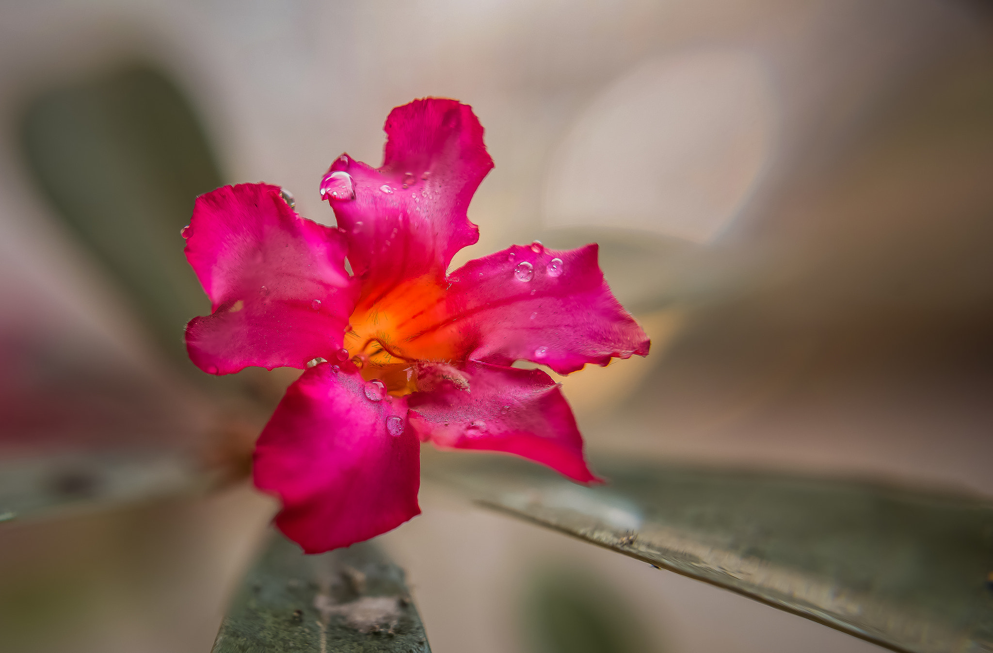 Nikon D750 + Nikon AF-S Nikkor 20mm F1.8G ED sample photo