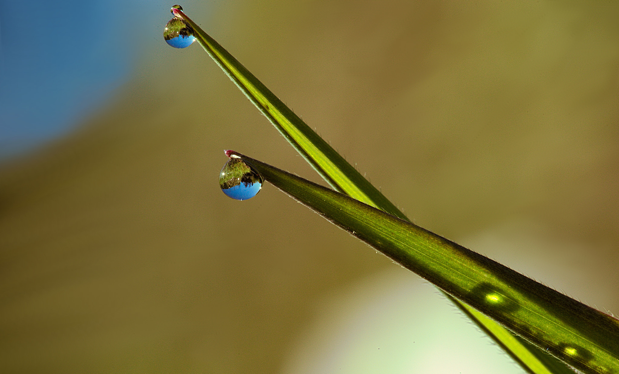 Manual Lens No CPU sample photo. Gocce photography