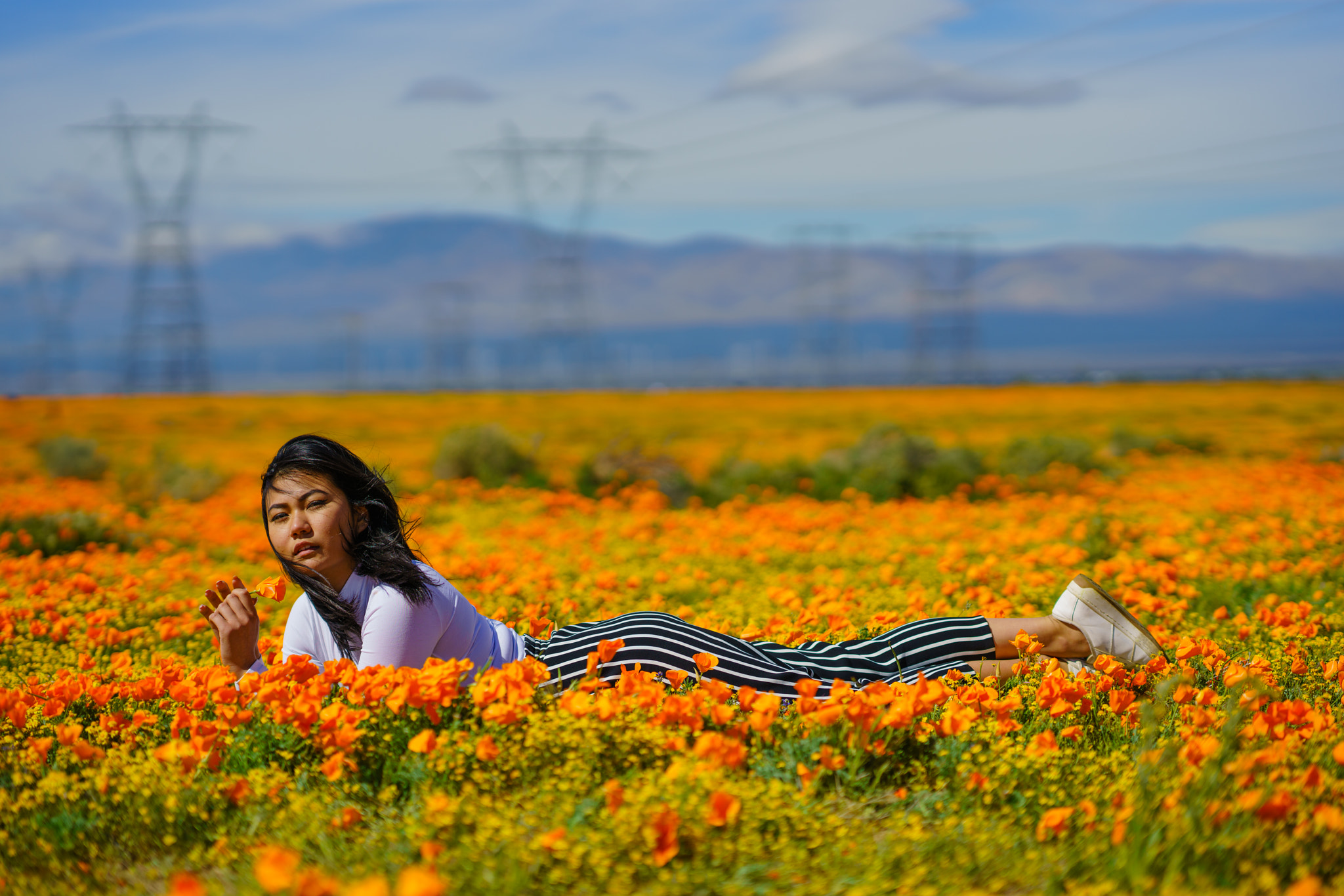 Sony FE 85mm F1.4 GM sample photo. Dsc photography