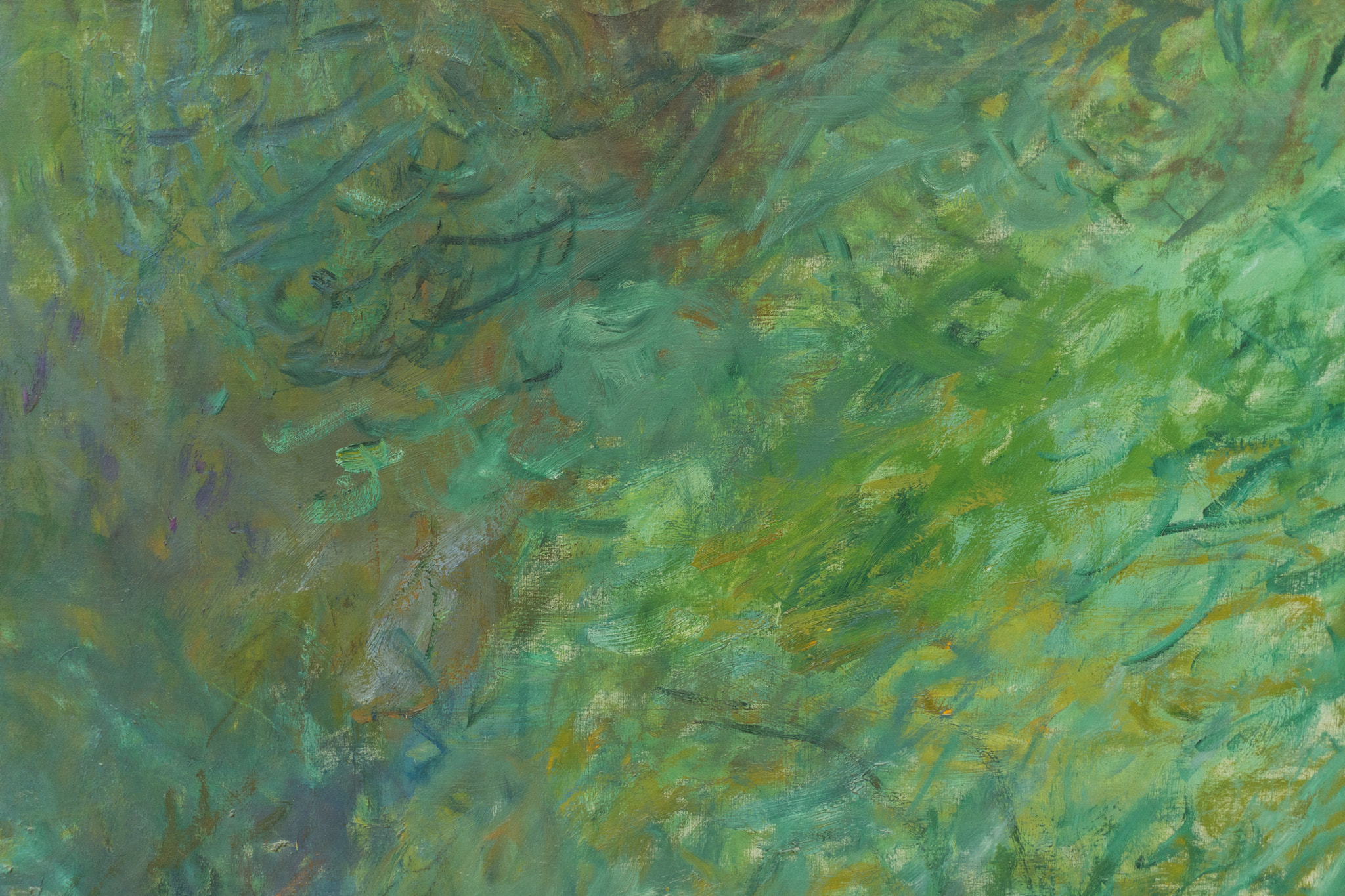 Sony FE 28mm F2 sample photo. Detail of les nymphéas by monet photography