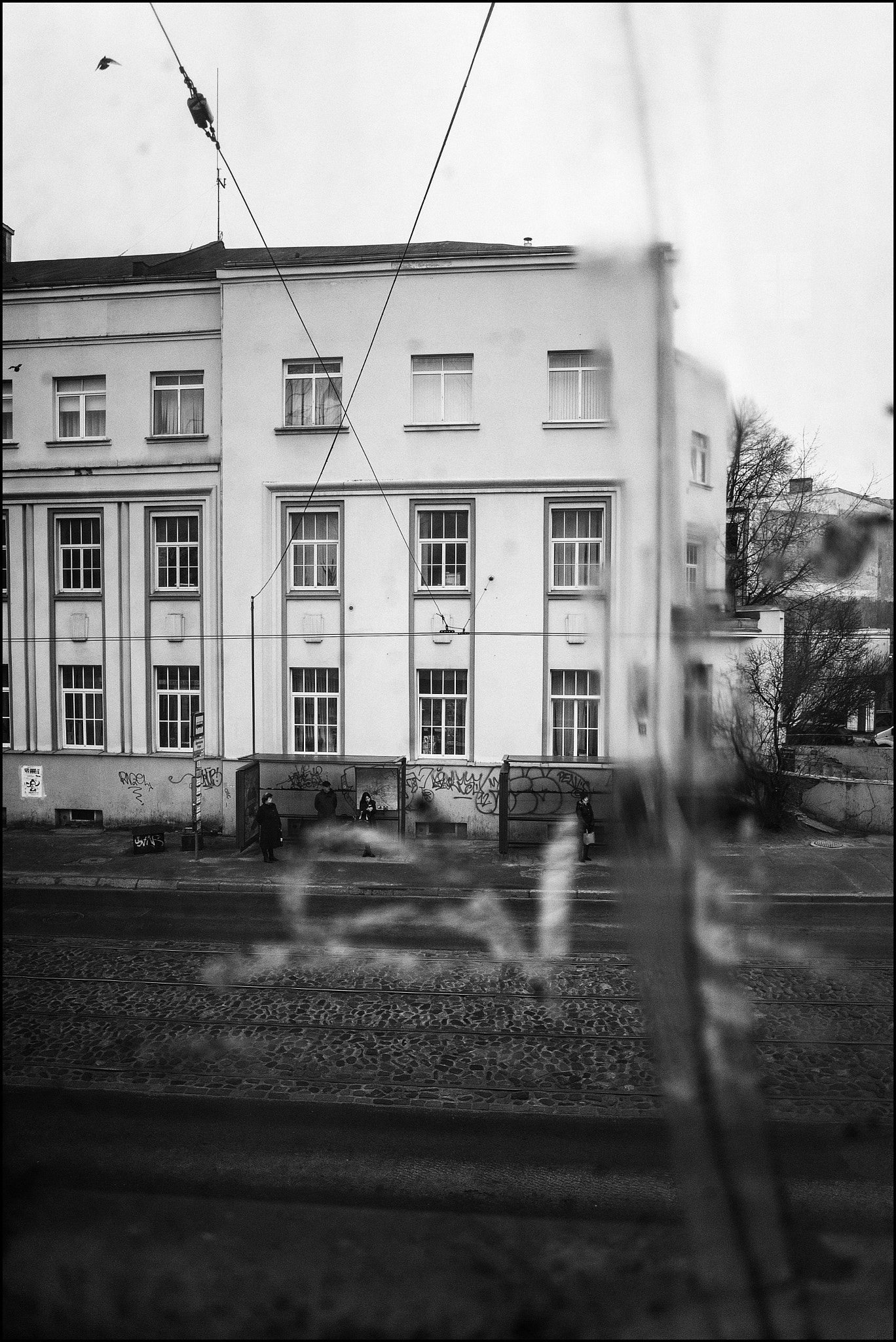 Canon EF 24mm F2.8 IS USM sample photo. Through the glass photography