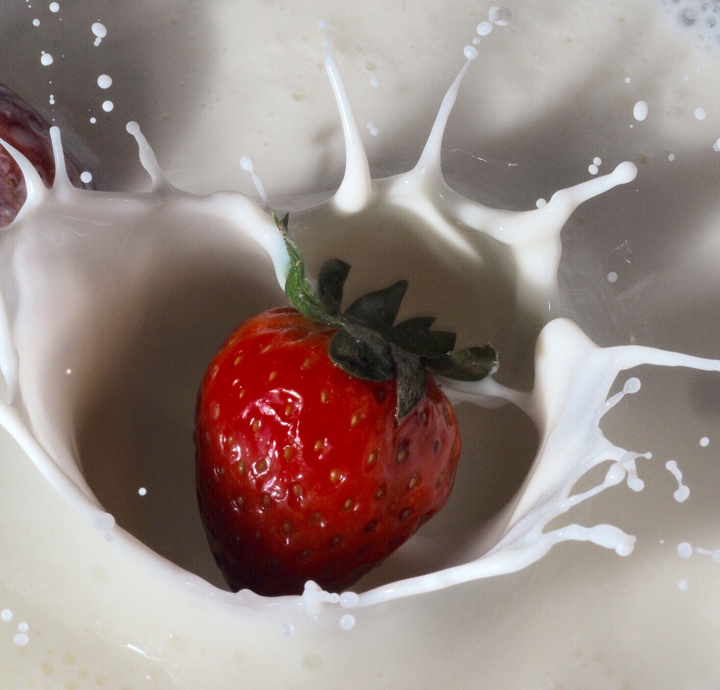 Olympus M.Zuiko Digital ED 60mm F2.8 Macro sample photo. Strawberry splash ,first try!  olympus omd5markii  makro photography