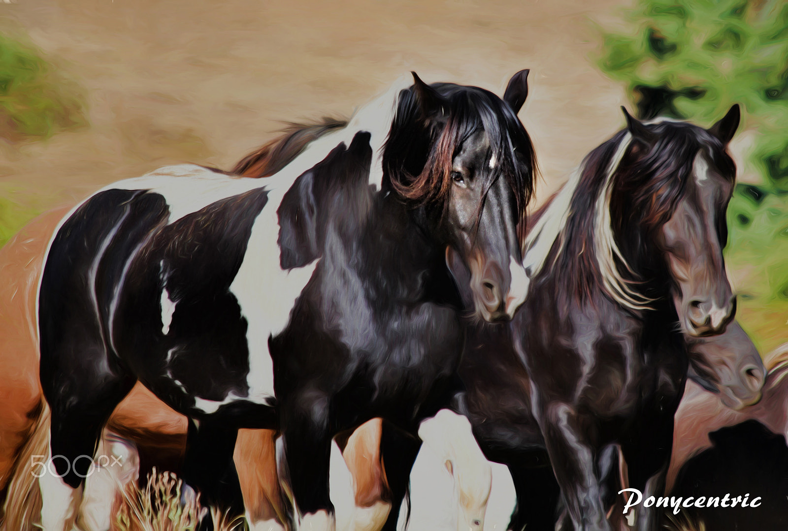 Canon EF 70-300mm F4-5.6 IS USM sample photo. Horse power photography