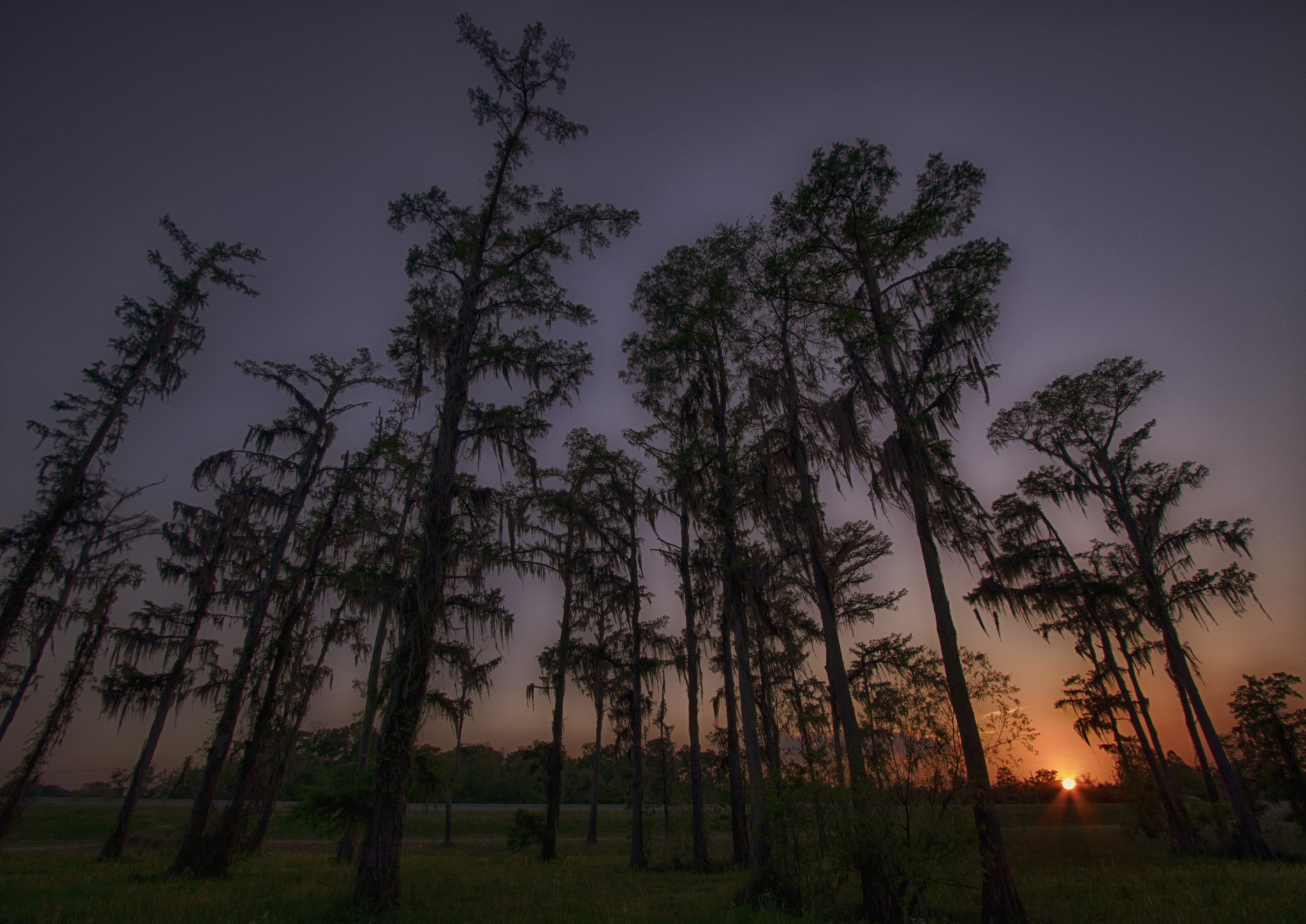 Canon EF-S 10-22mm F3.5-4.5 USM sample photo. Hwy 61 cypress photography