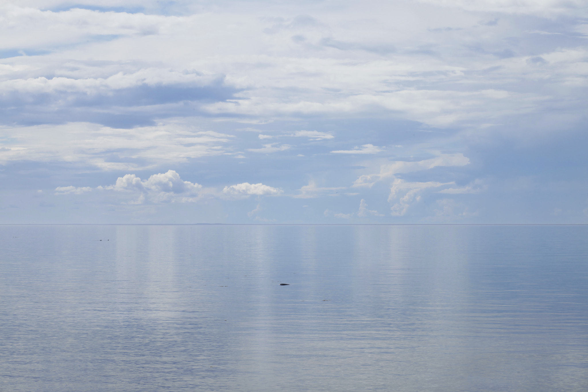 Canon EF 35-80mm f/4-5.6 sample photo. Reflection photography