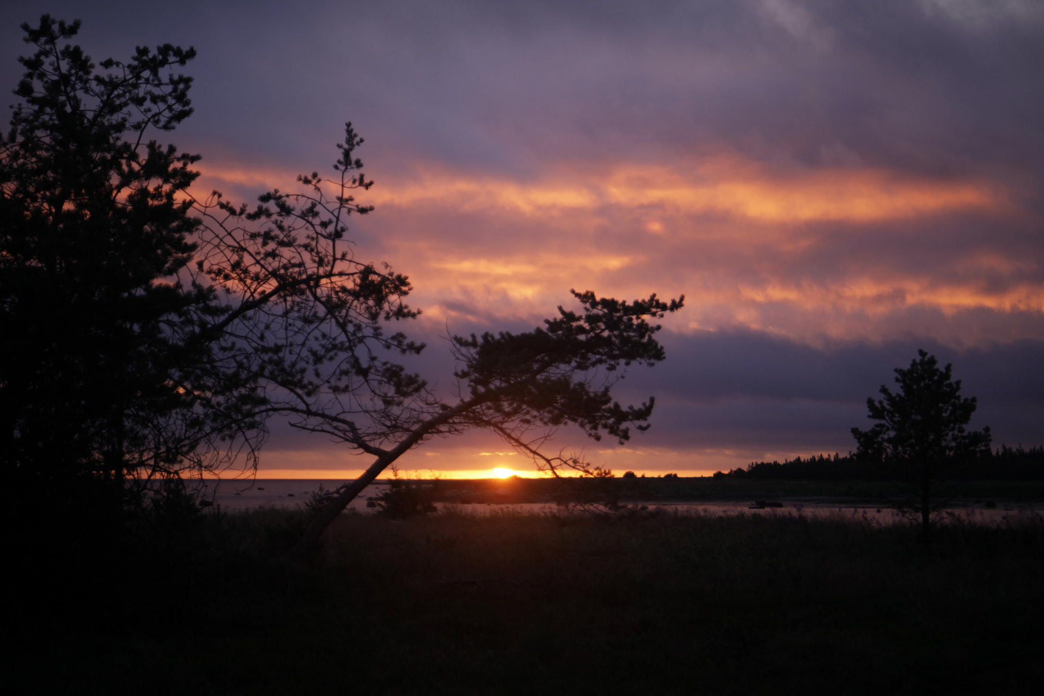Canon EOS 5D Mark II sample photo. Purple sunset photography