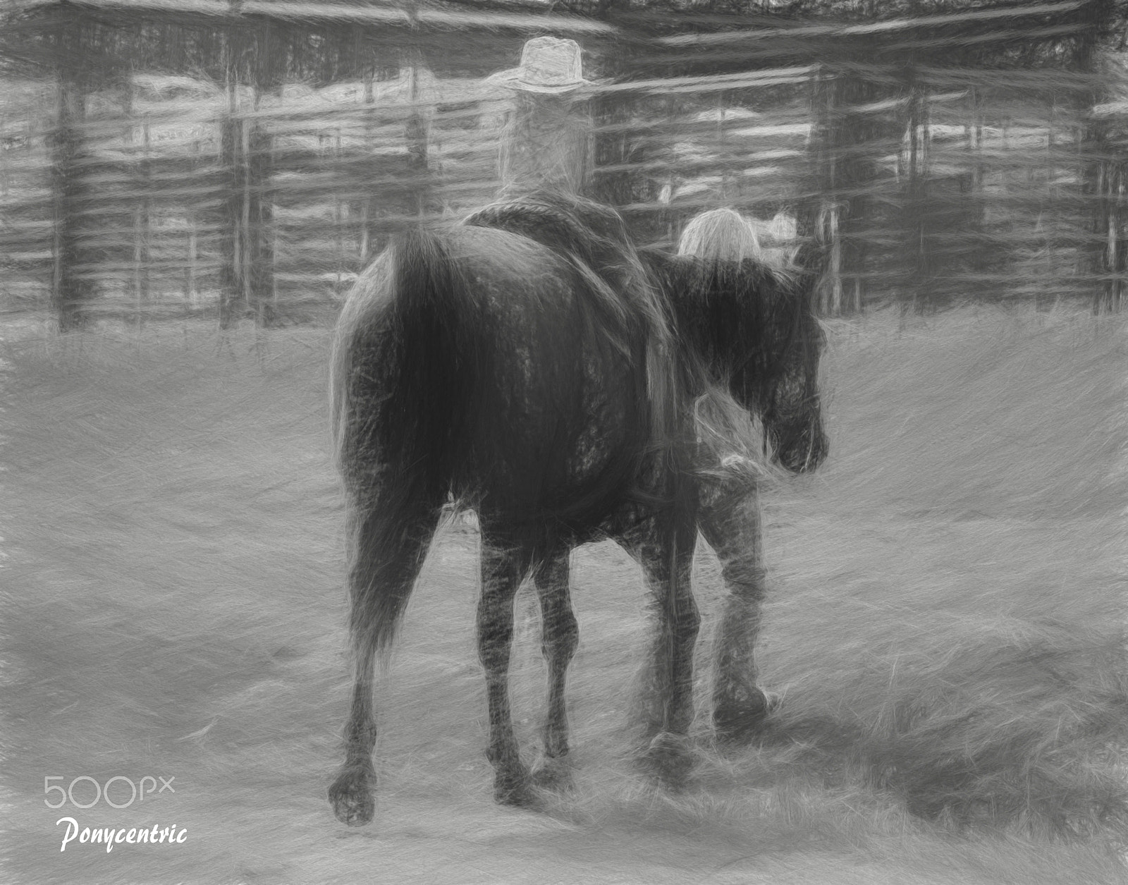 Canon EF 70-300mm F4-5.6 IS USM sample photo. Little cowpoke photography