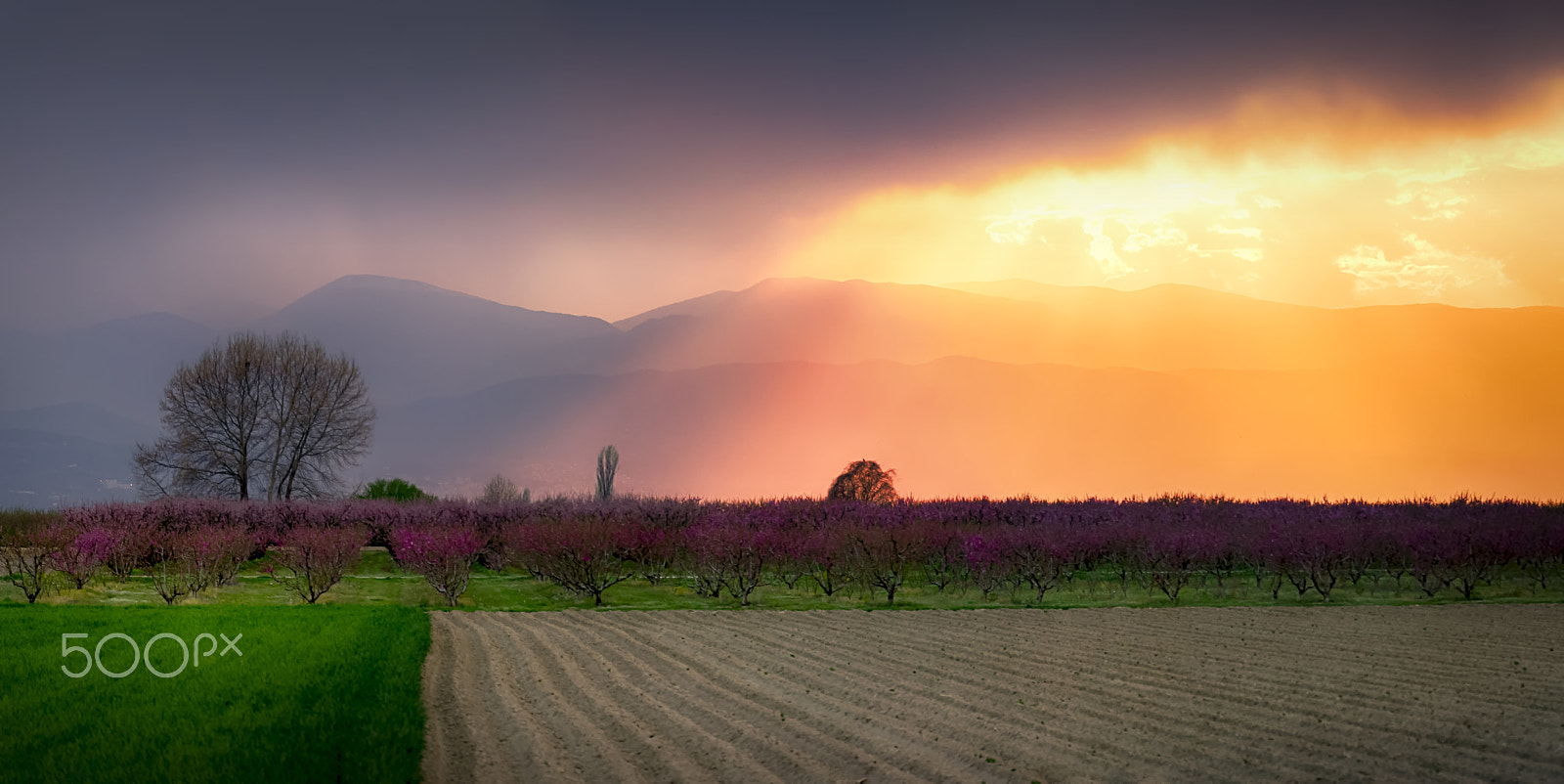 Nikon D5300 sample photo. Colors over the fields photography