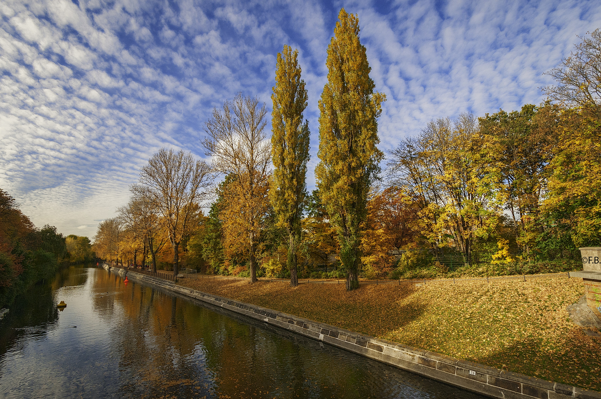 Nikon D300 + Nikon AF-S DX Nikkor 10-24mm F3-5-4.5G ED sample photo. Circle through the seasons photography