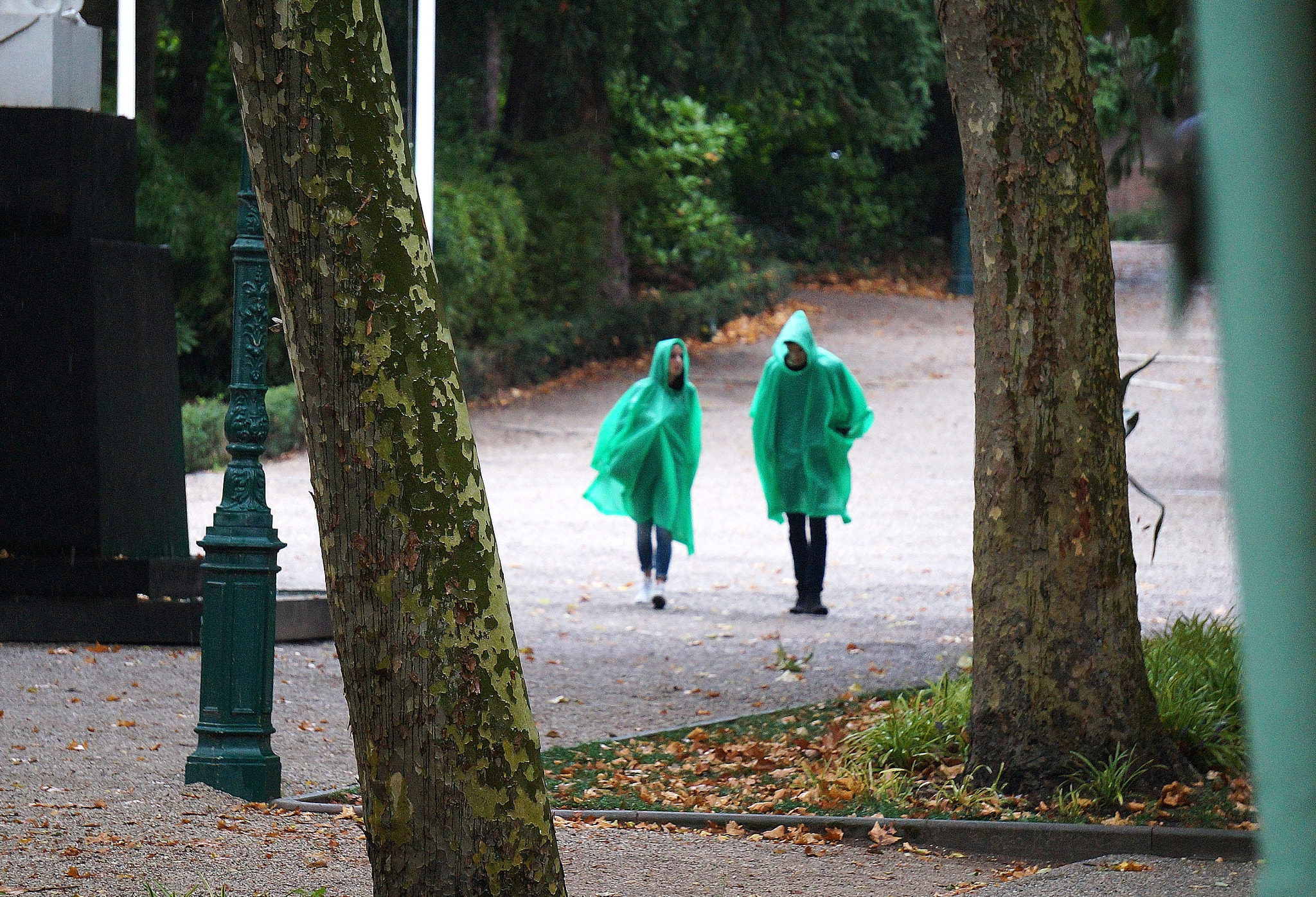 Sony Alpha NEX-3N + Sony E 55-210mm F4.5-6.3 OSS sample photo. Green raincoats photography