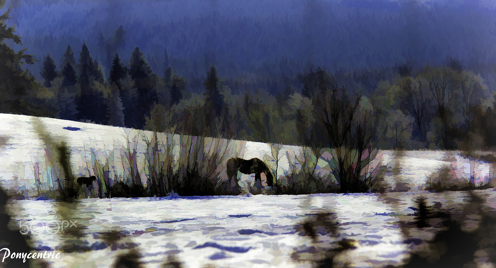 Canon EOS 60D sample photo. Winter wonderland photography