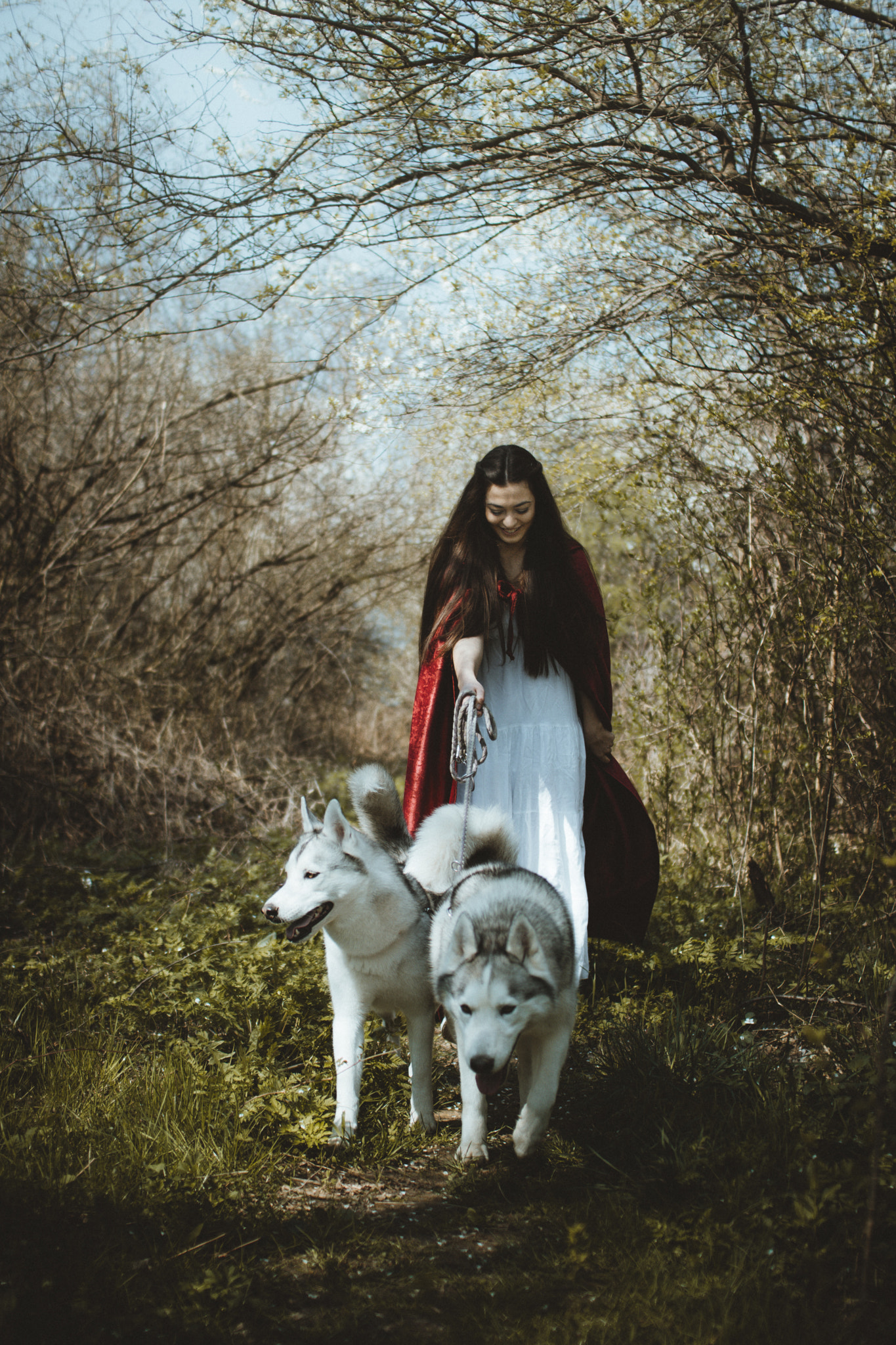Canon EOS 80D + Sigma 30mm F1.4 EX DC HSM sample photo. Running with the wolves photography