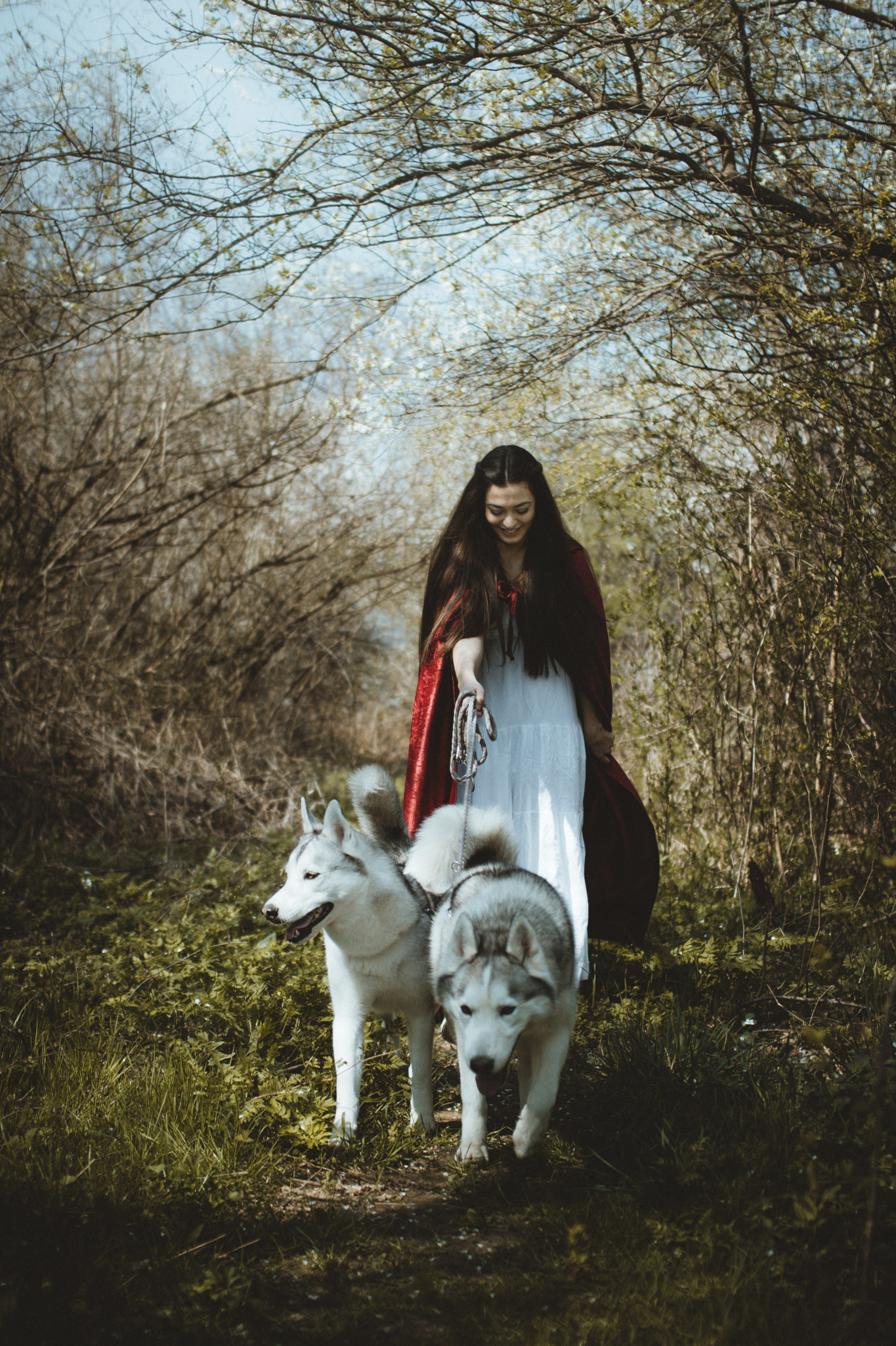 Sigma 30mm F1.4 EX DC HSM sample photo. Running with the wolves photography