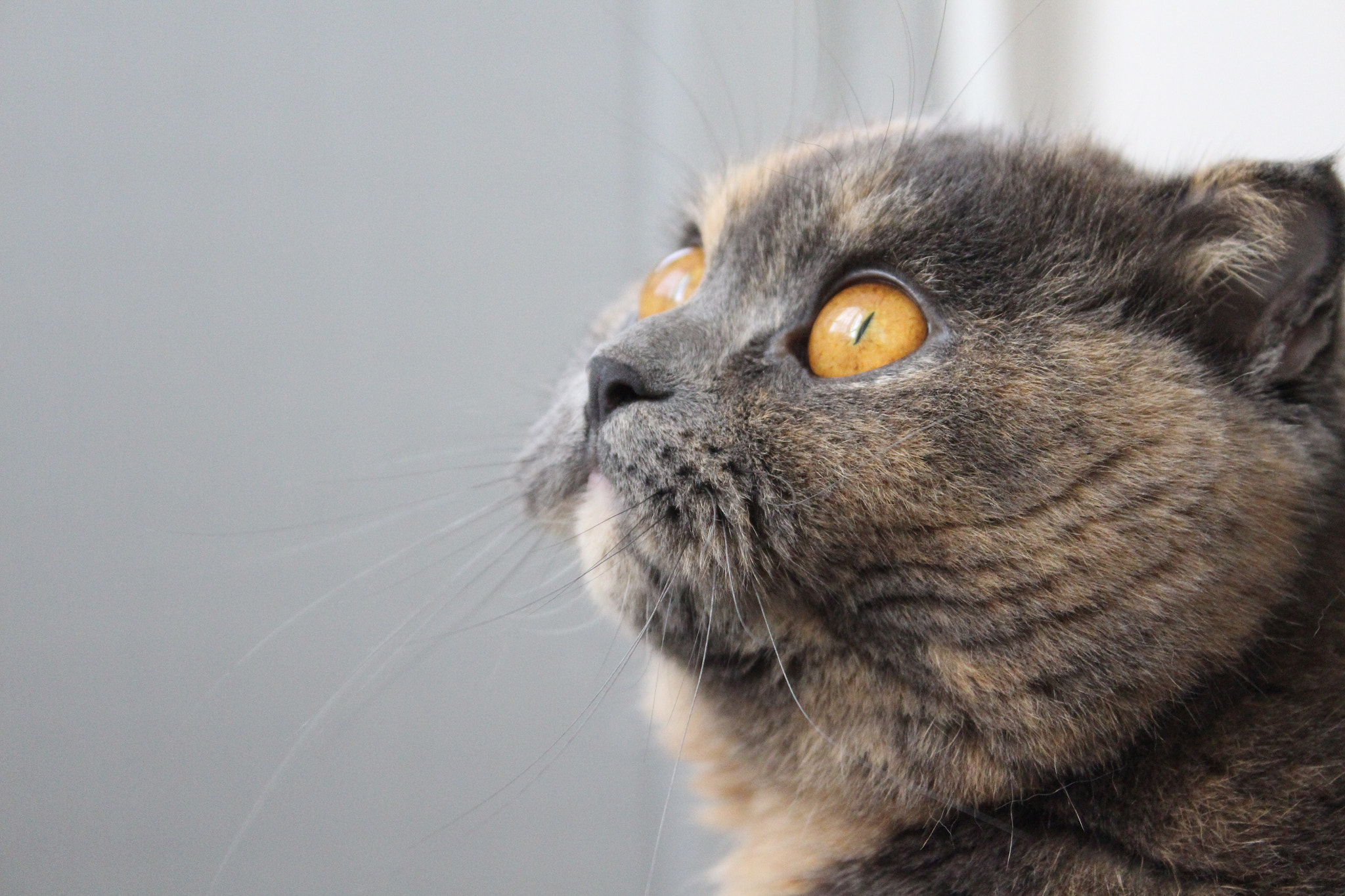 Canon EOS 650D (EOS Rebel T4i / EOS Kiss X6i) sample photo