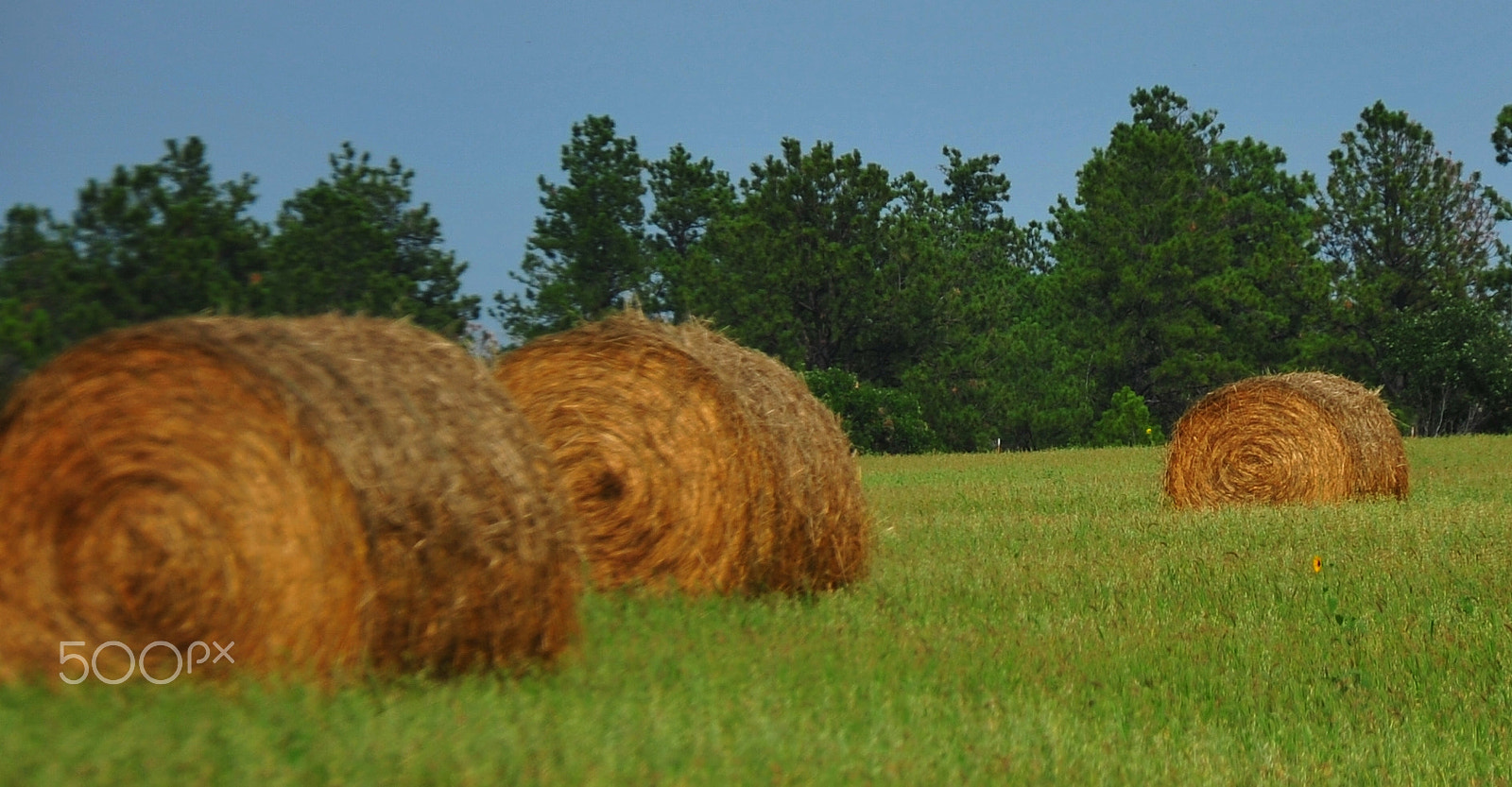 Nikon D700 sample photo. Niobrara haybales photography