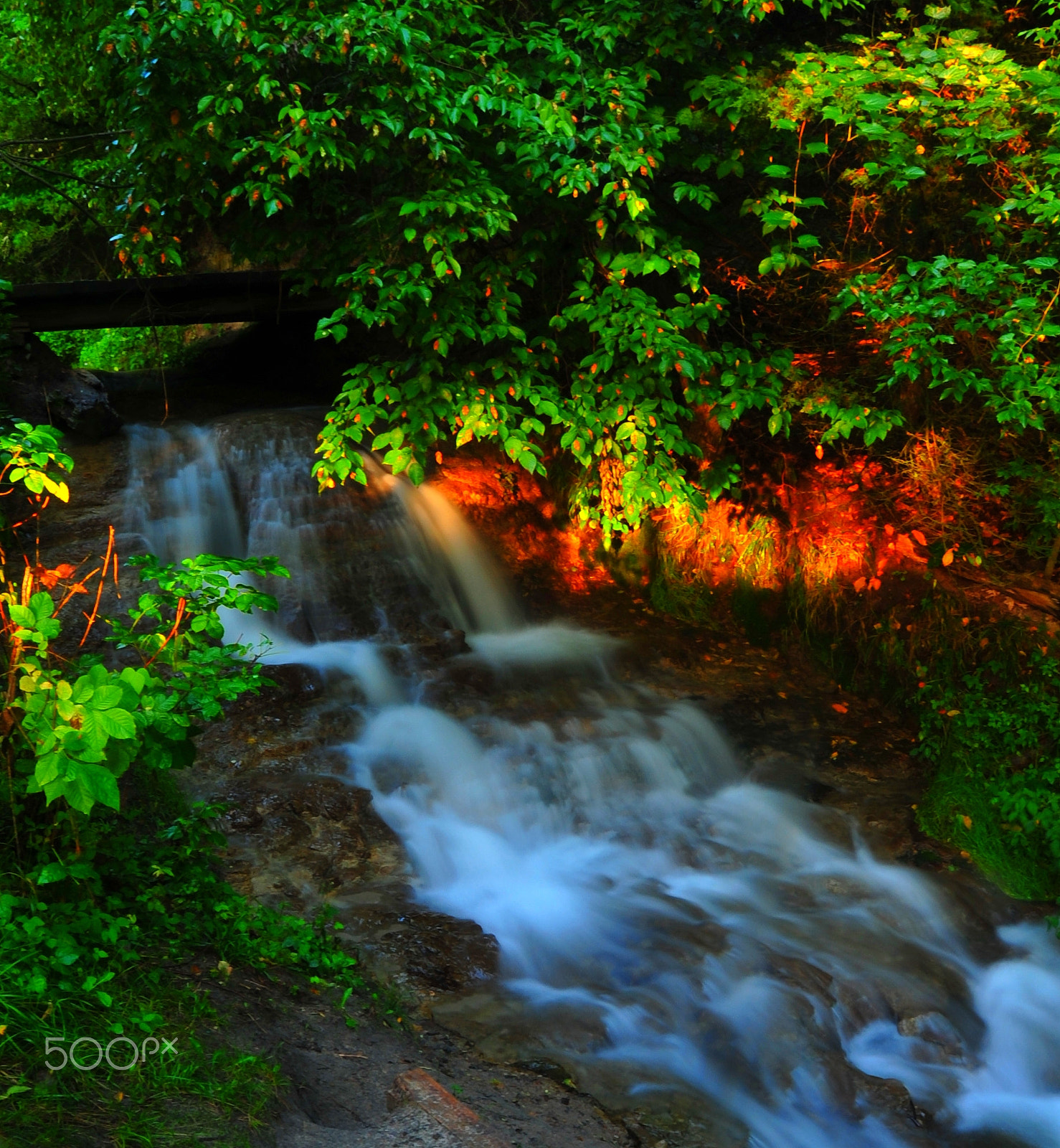 Nikon D700 sample photo. Little smithfalls photography