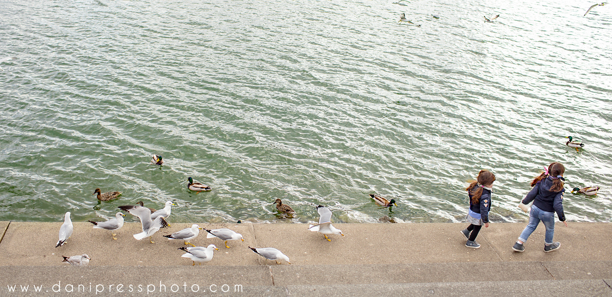 Canon EOS 6D + Canon EF 35mm F1.4L USM sample photo. Follow those girls photography