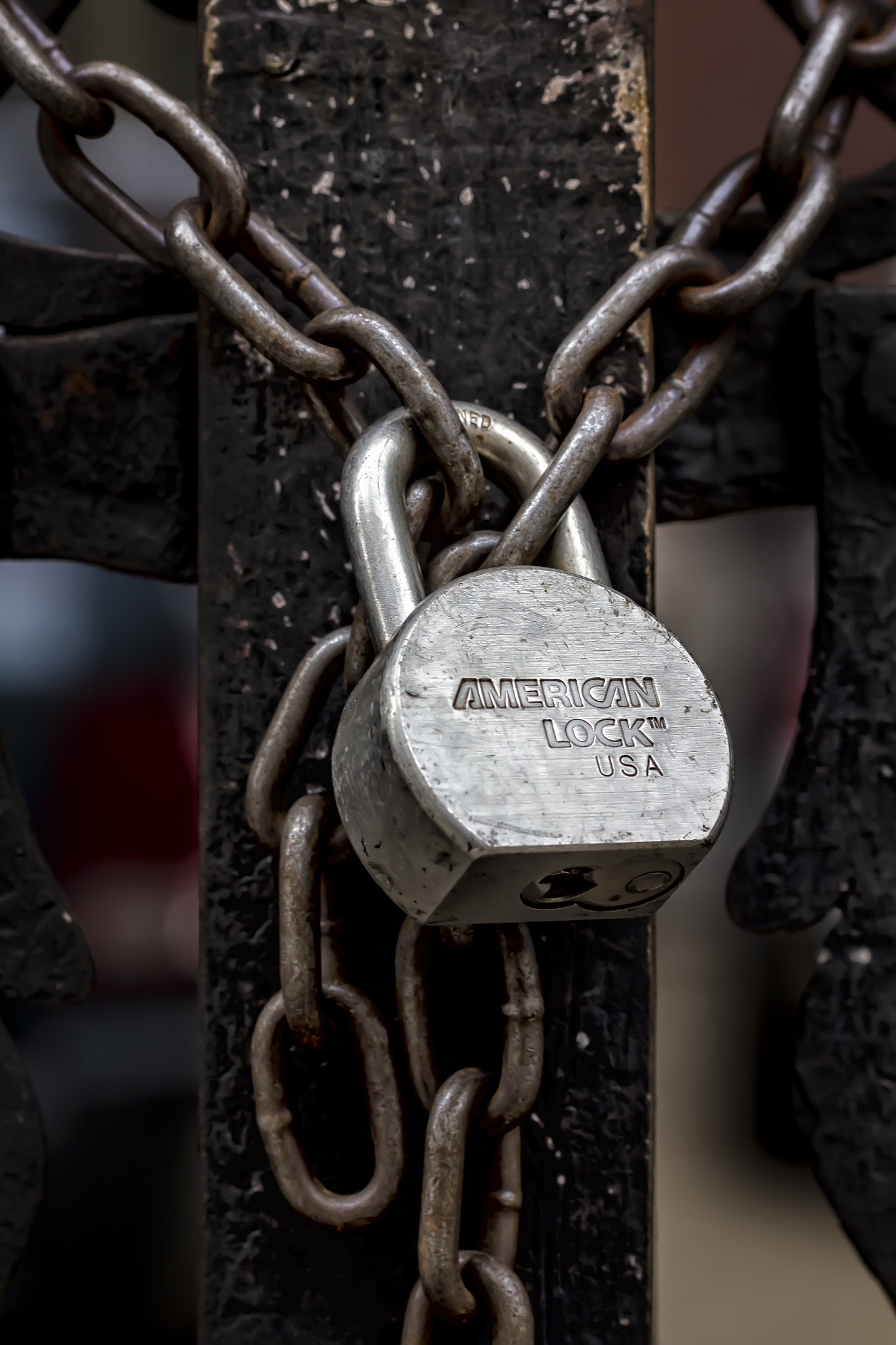 Canon EF 100mm F2.8 Macro USM sample photo. Padlock and chains photography