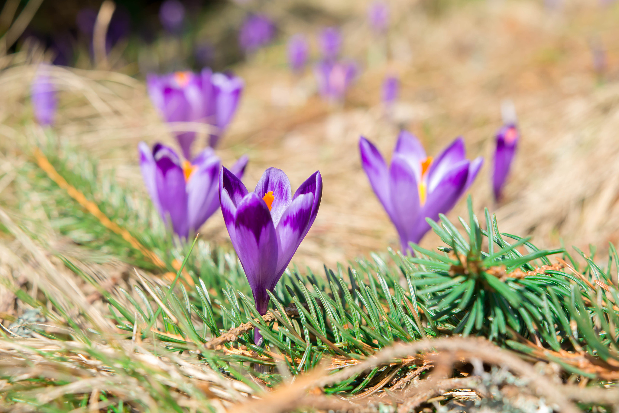 Nikon D7100 + Sigma 18-35mm F1.8 DC HSM Art sample photo. Dsc photography