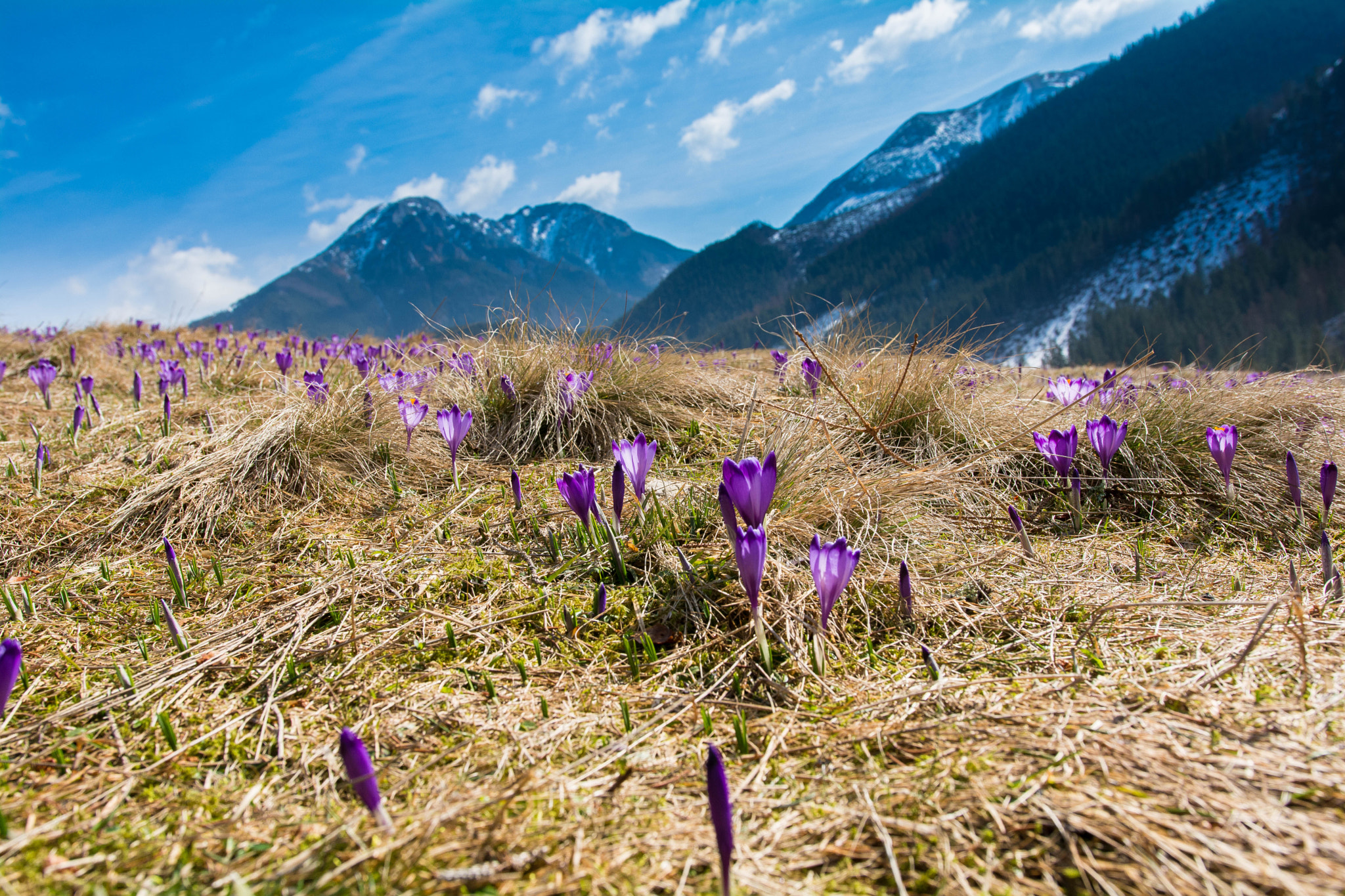 Nikon D7100 + Sigma 18-35mm F1.8 DC HSM Art sample photo. Dsc photography