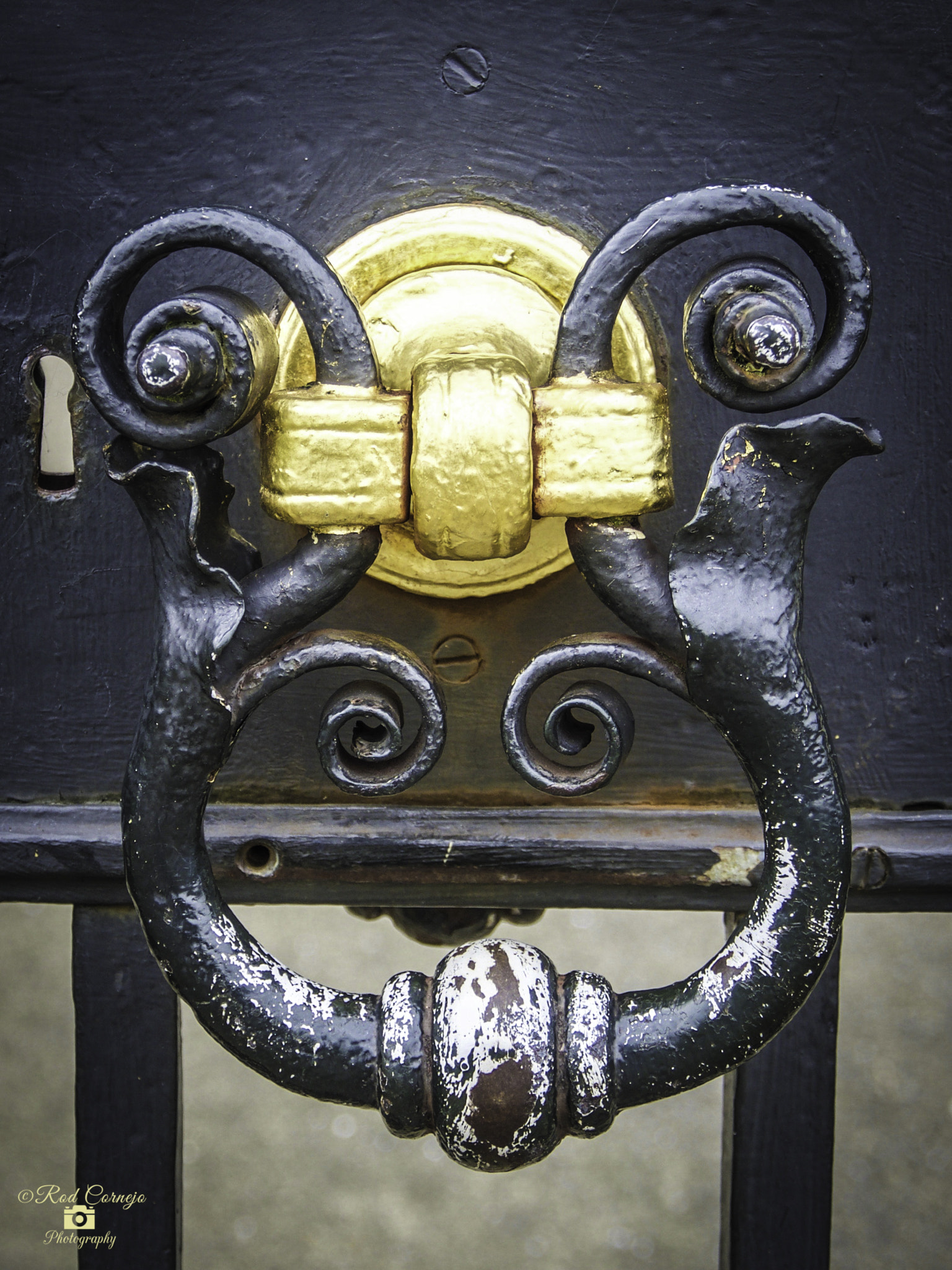 Olympus OM-D E-M5 II sample photo. Kensington palace old handle... photography