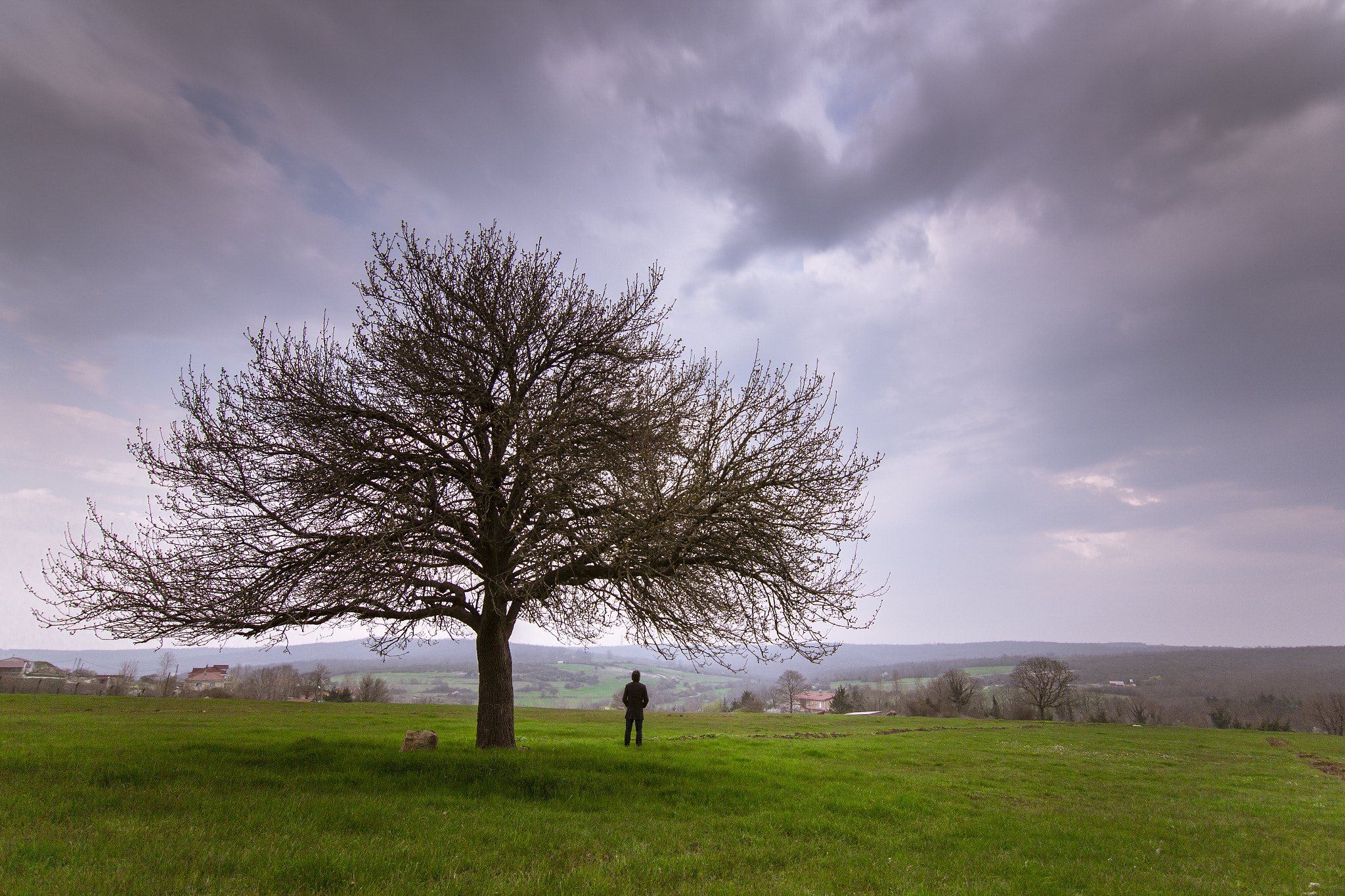 Canon EOS 60D sample photo. Ilkbahar photography