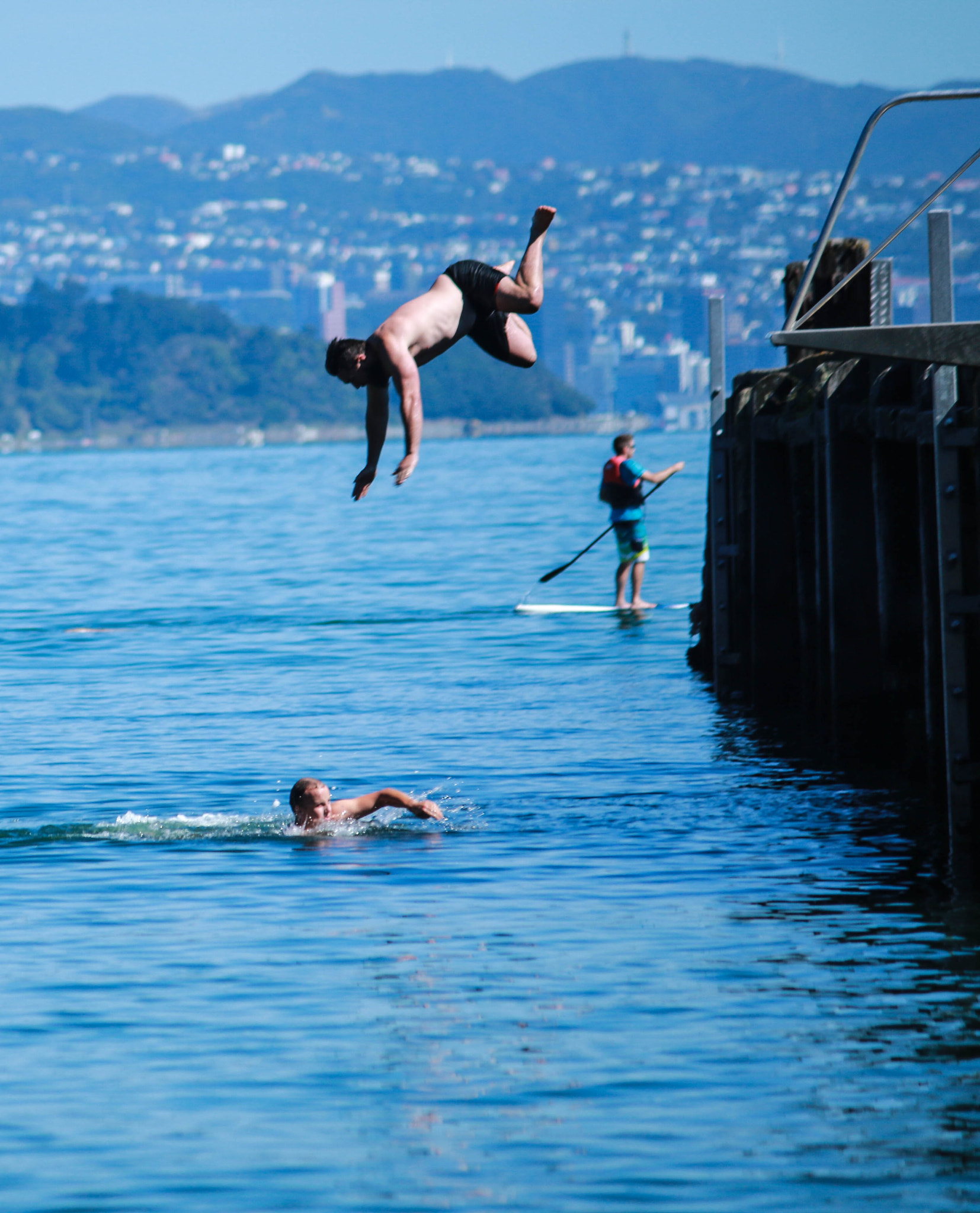 Canon EF-S 55-250mm F4-5.6 IS II sample photo. "landing" photography