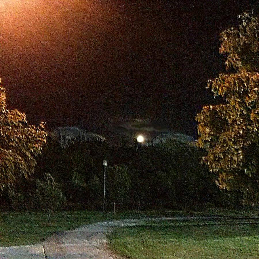 Motorola XT1032 sample photo. Rising moon photography