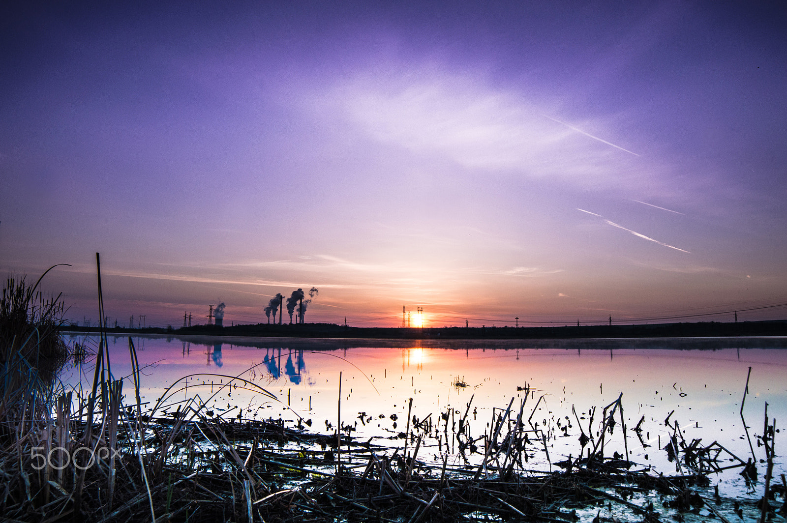 Samyang 14mm F2.8 ED AS IF UMC sample photo. Deep purple photography