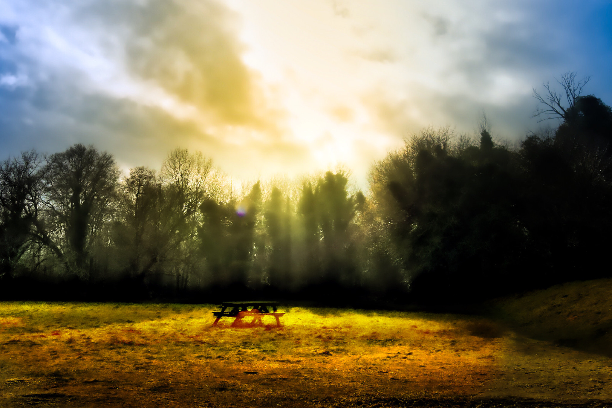 Sony DSC-RX100M5 sample photo. Early spring sun breaking through through mist photography