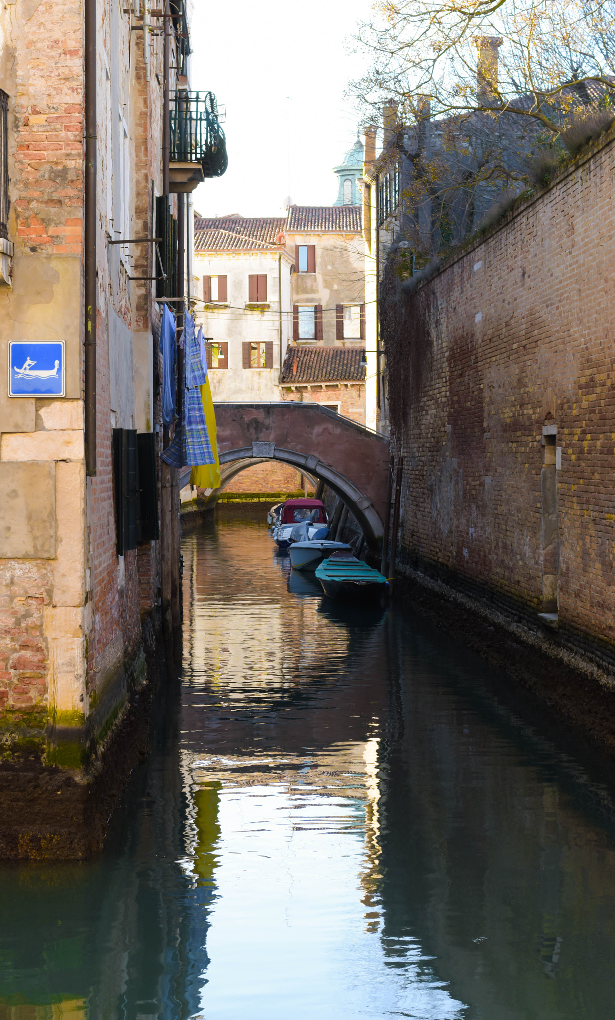 Nikon D7200 + Nikon AF-S Nikkor 50mm F1.8G sample photo. Dsc photography