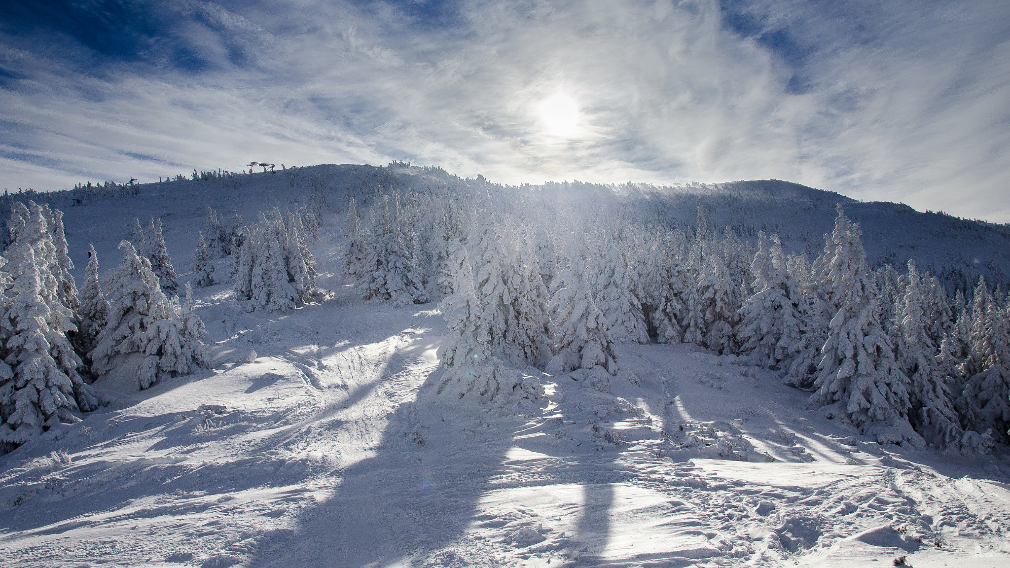 Nikon D5100 sample photo. Snow forest photography