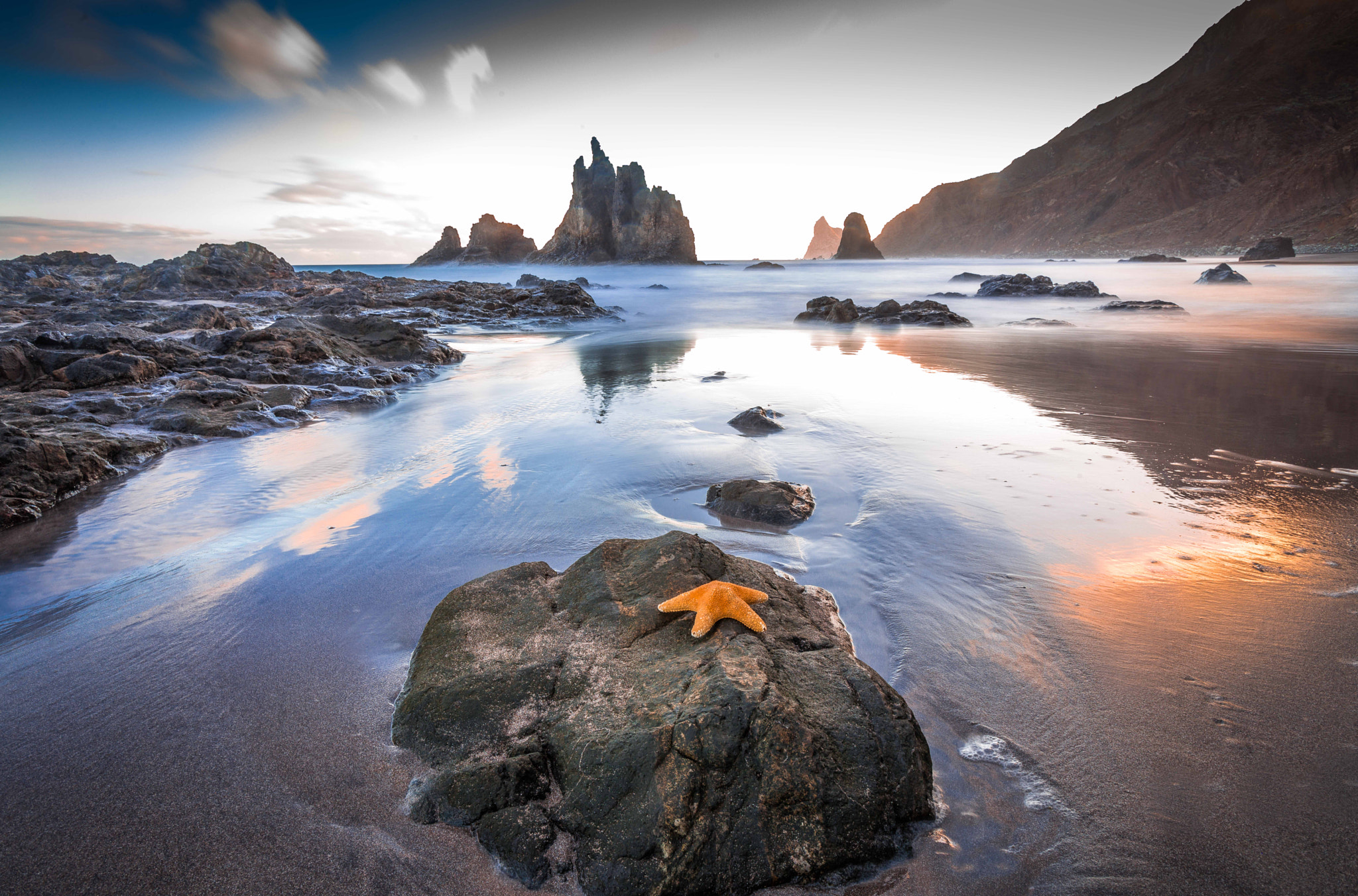 Canon EOS 6D + Canon EF 16-35mm F2.8L USM sample photo. Estrellita. little starfish. photography