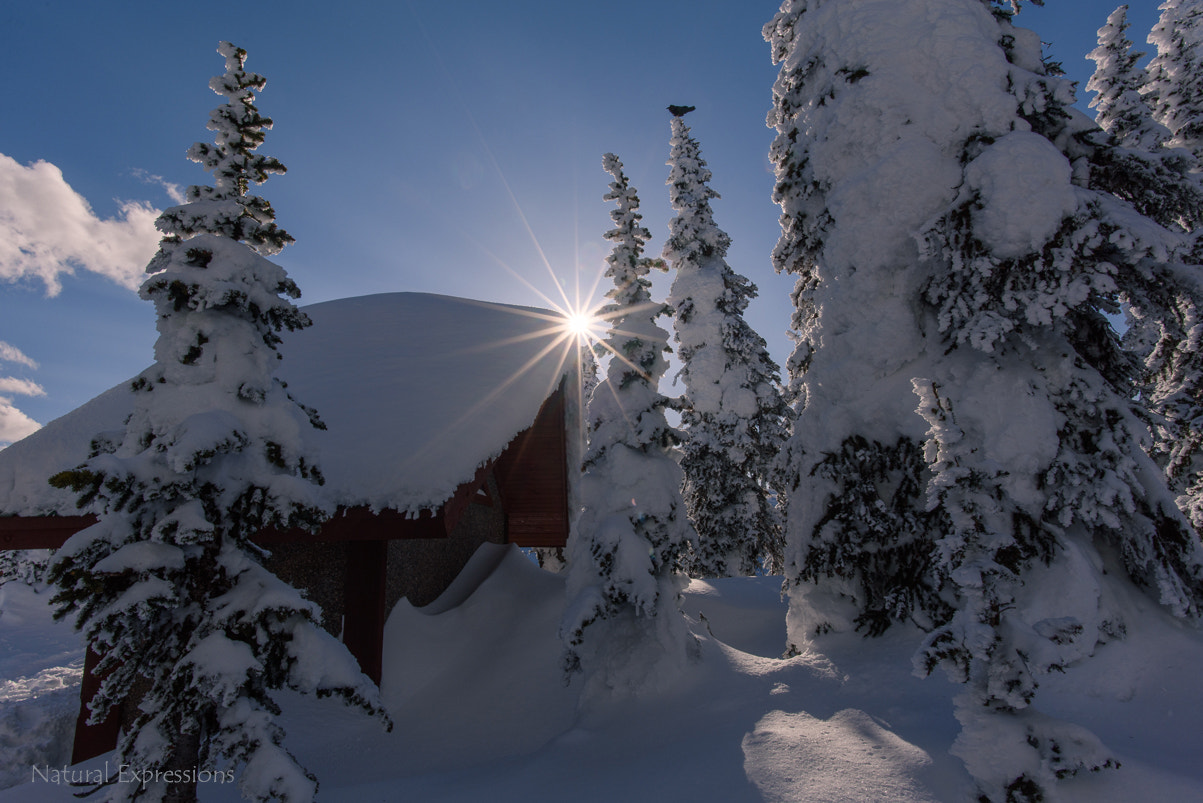 Nikon D750 + Nikon AF-S Nikkor 20mm F1.8G ED sample photo. Alpine sunstar photography