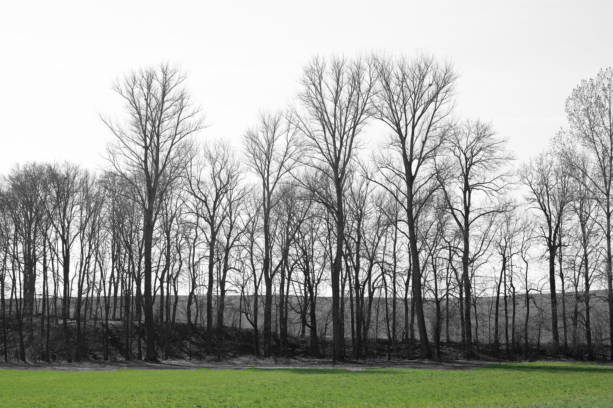 Fujifilm XC 16-50mm F3.5-5.6 OIS sample photo. From winter to spring photography