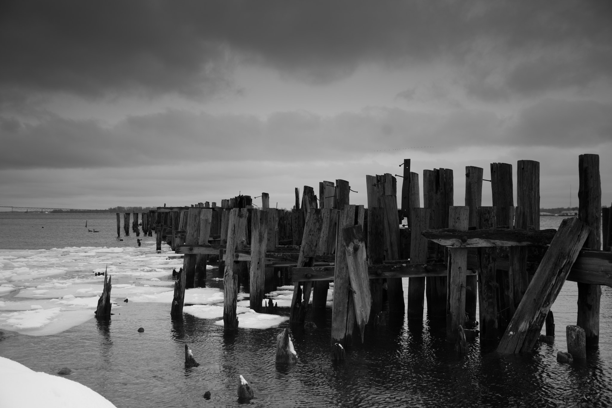 Nikon D800E sample photo. Pillars photography