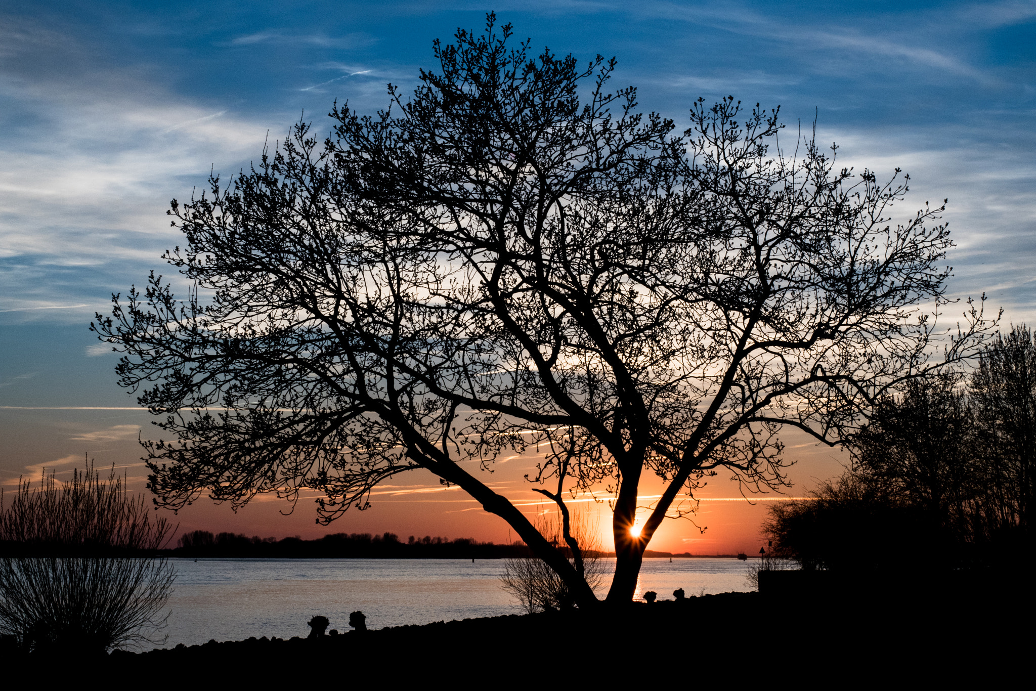 Olympus OM-D E-M5 II + Olympus M.Zuiko Digital ED 12-40mm F2.8 Pro sample photo. Elbe sunset photography
