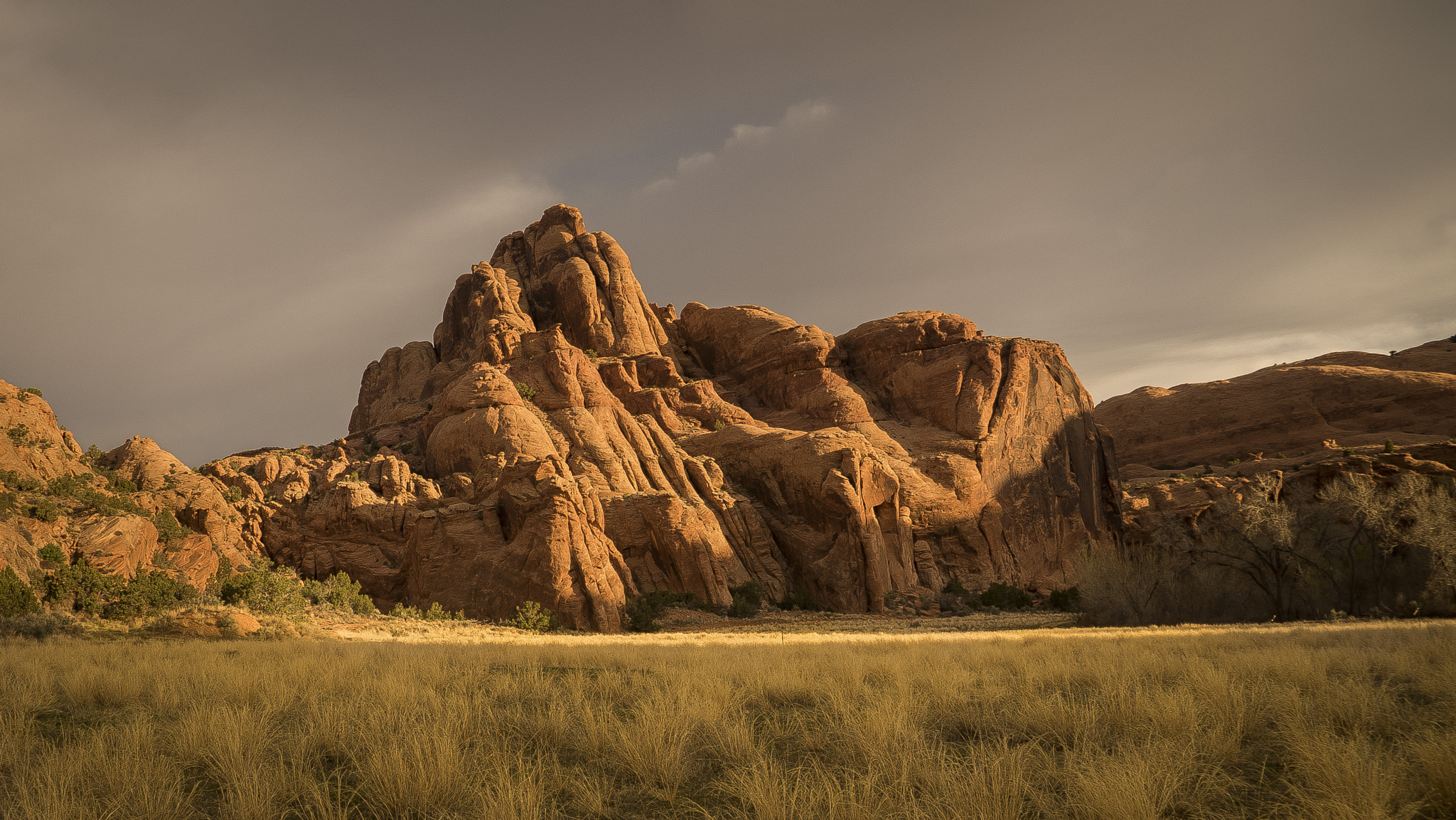 Sony a7S + Sony FE 24-240mm F3.5-6.3 OSS sample photo. Desert morning photography