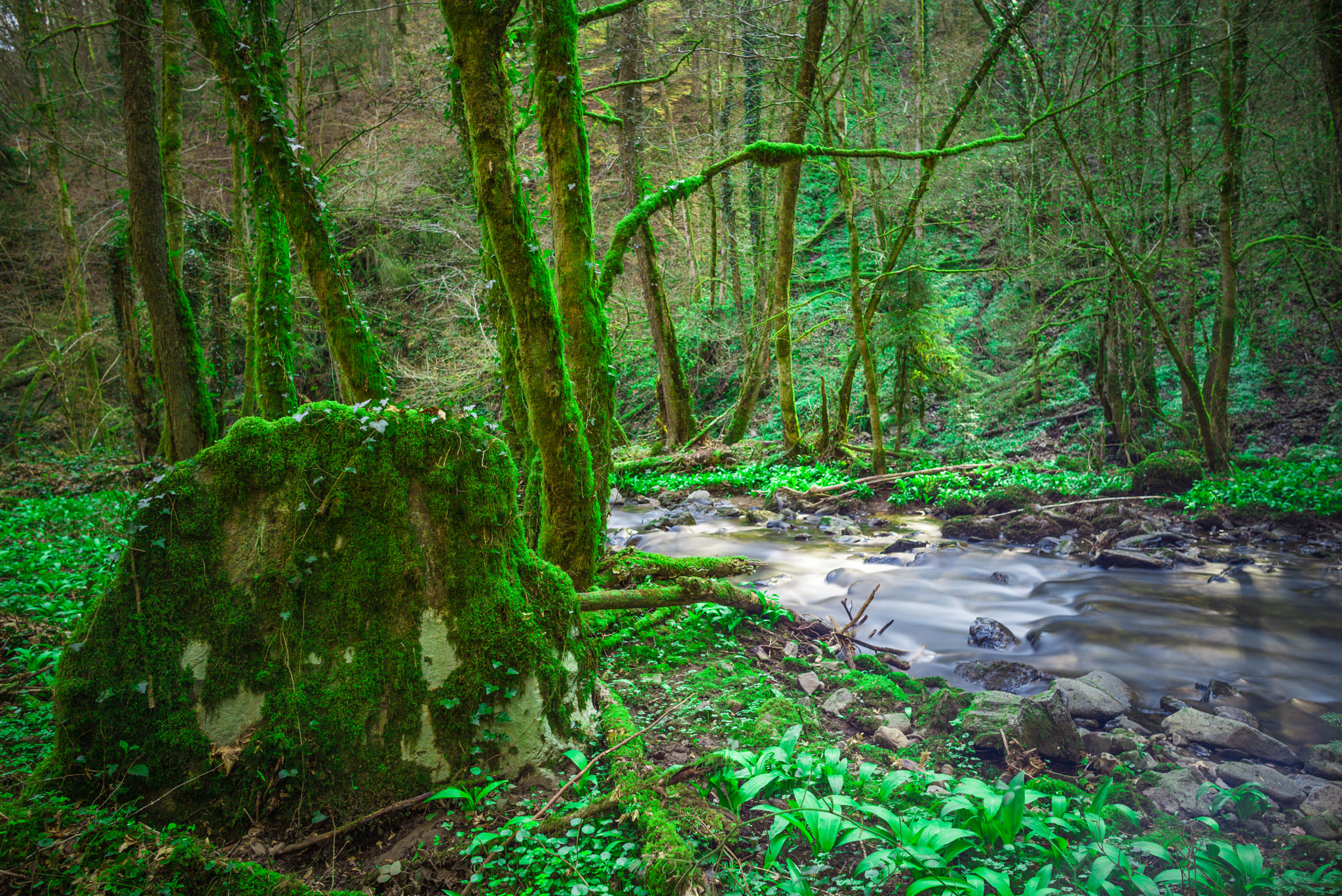 Leica Summilux-M 24mm F1.4 ASPH sample photo. Murgtal photography