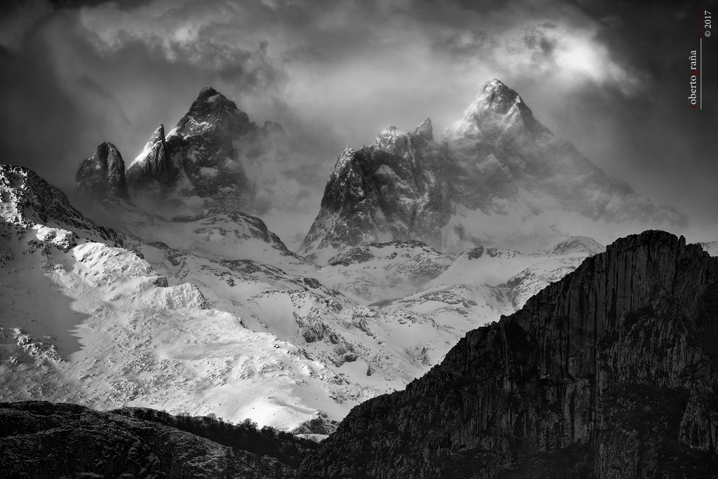 Sigma 150-600mm F5-6.3 DG OS HSM | S sample photo. De entre las nubes photography