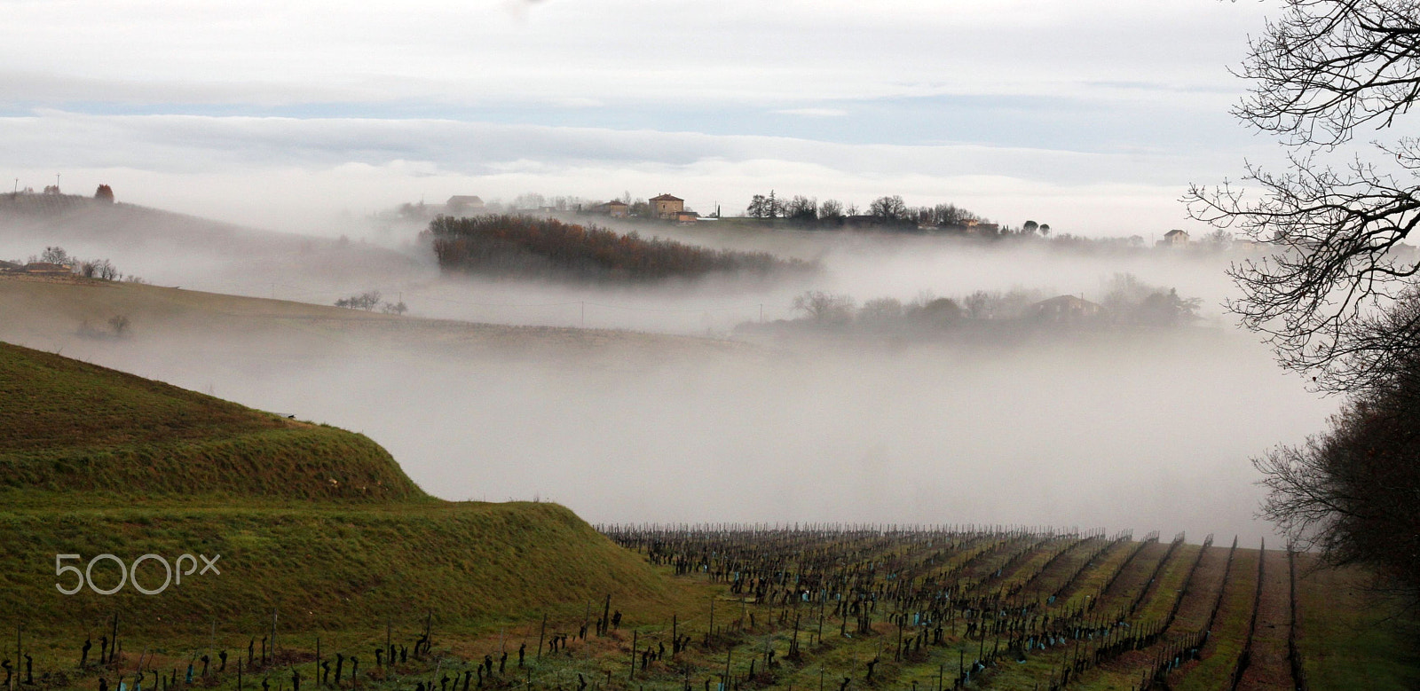 Canon EOS 500D (EOS Rebel T1i / EOS Kiss X3) sample photo. Gaillac photography