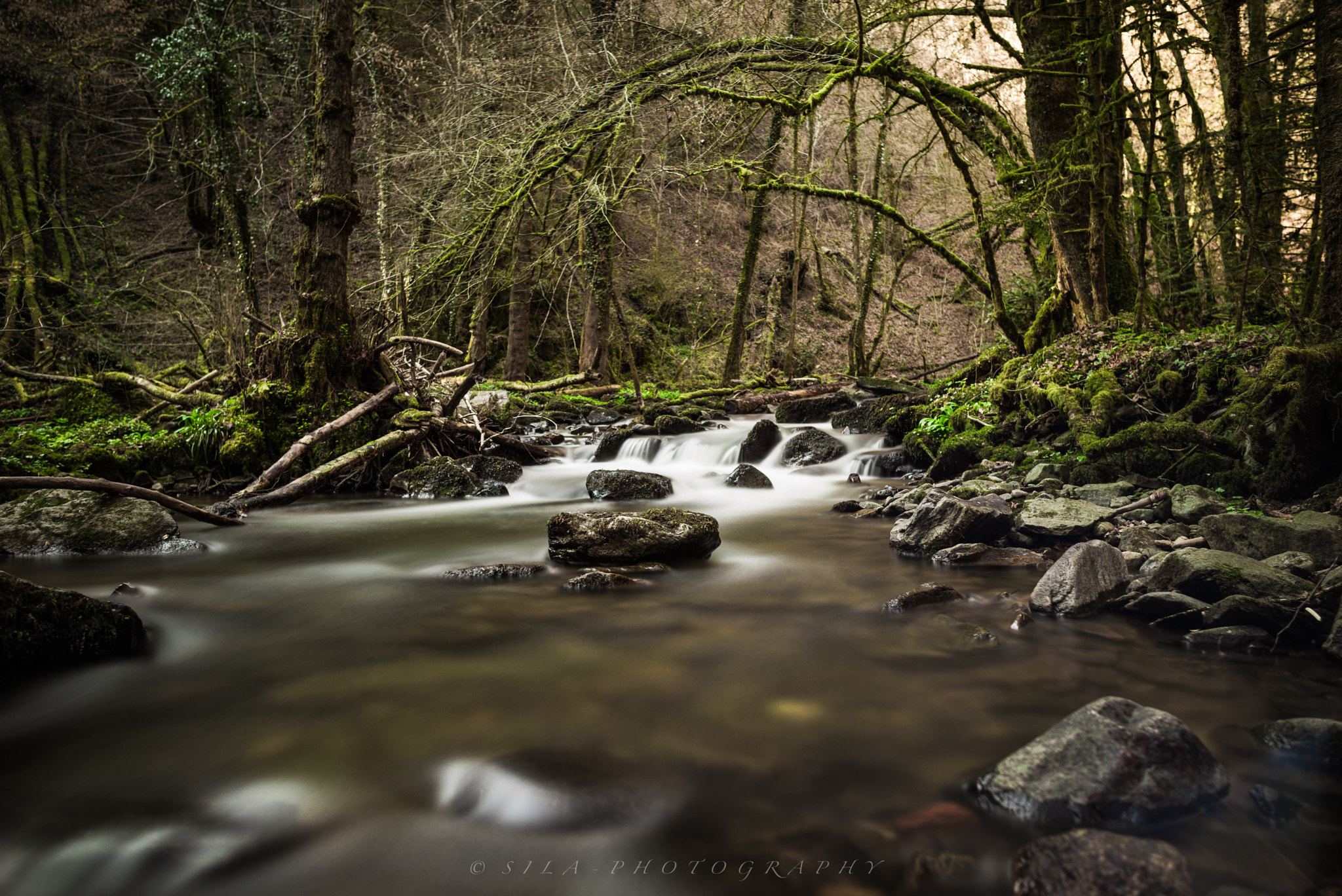 Leica Summilux-M 24mm F1.4 ASPH sample photo. Murgtal photography
