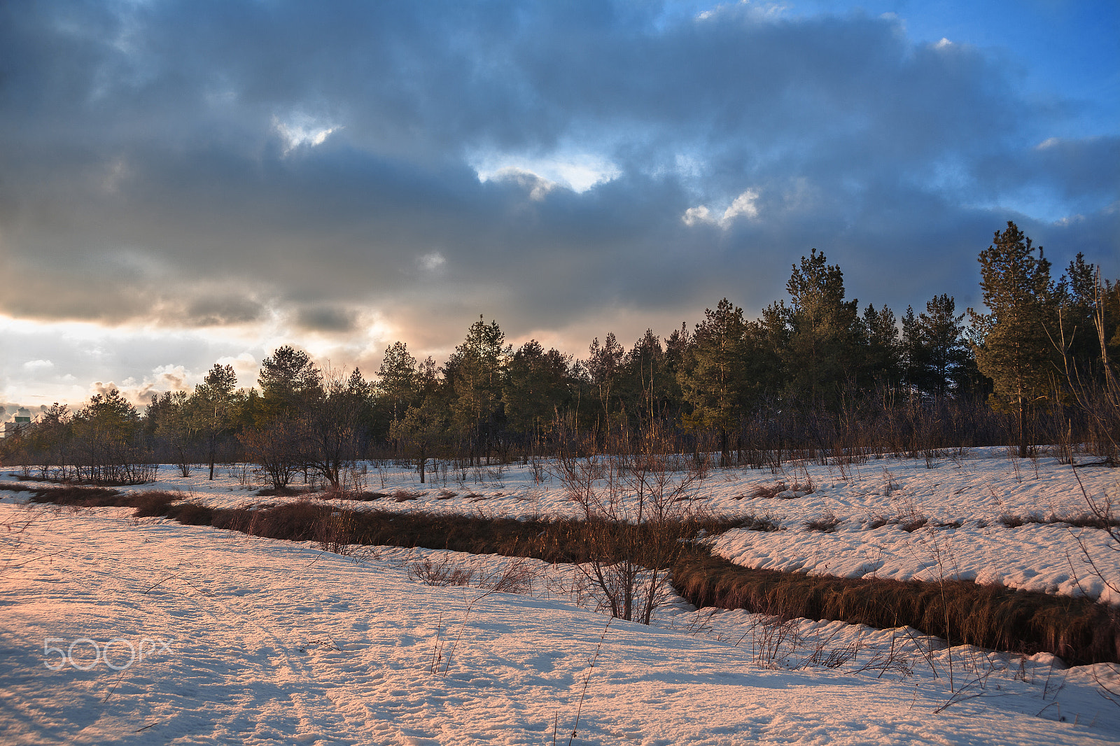 Canon EF 35-105mm f/3.5-4.5 sample photo. закат в лесу photography